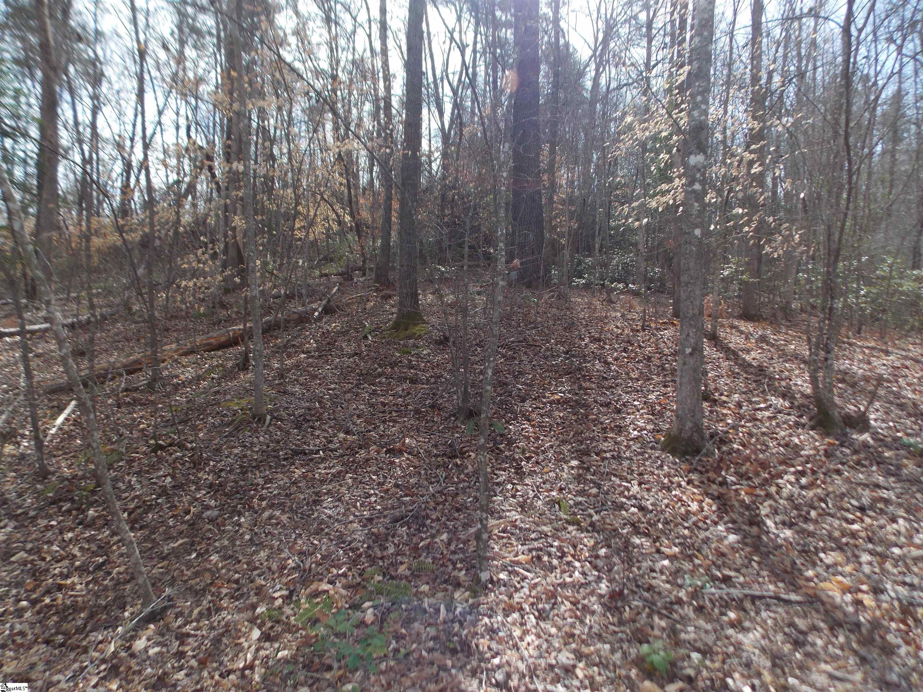 00 Holloway, Marietta, South Carolina image 21