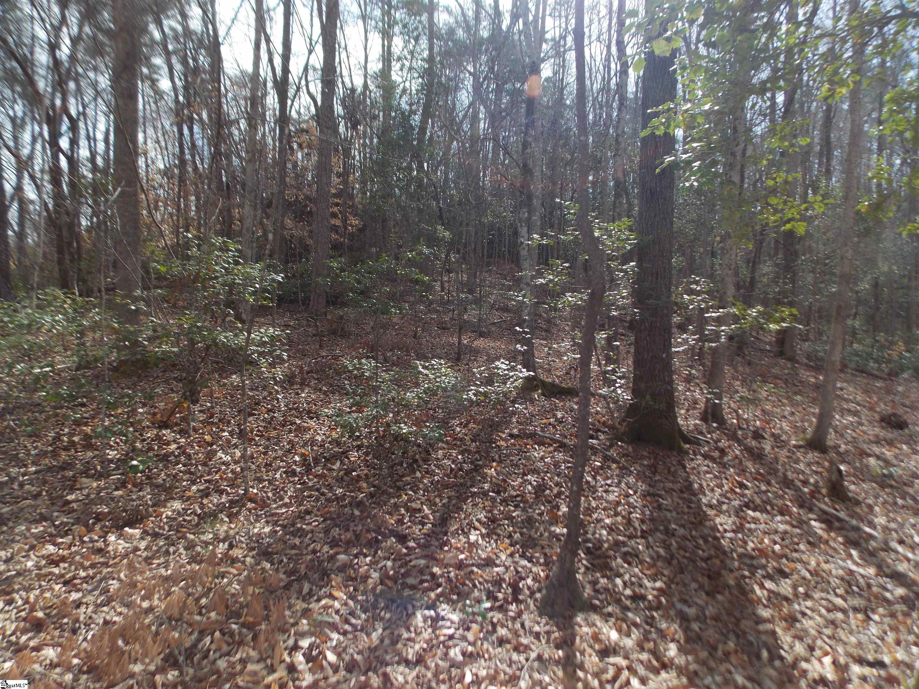 00 Holloway, Marietta, South Carolina image 22