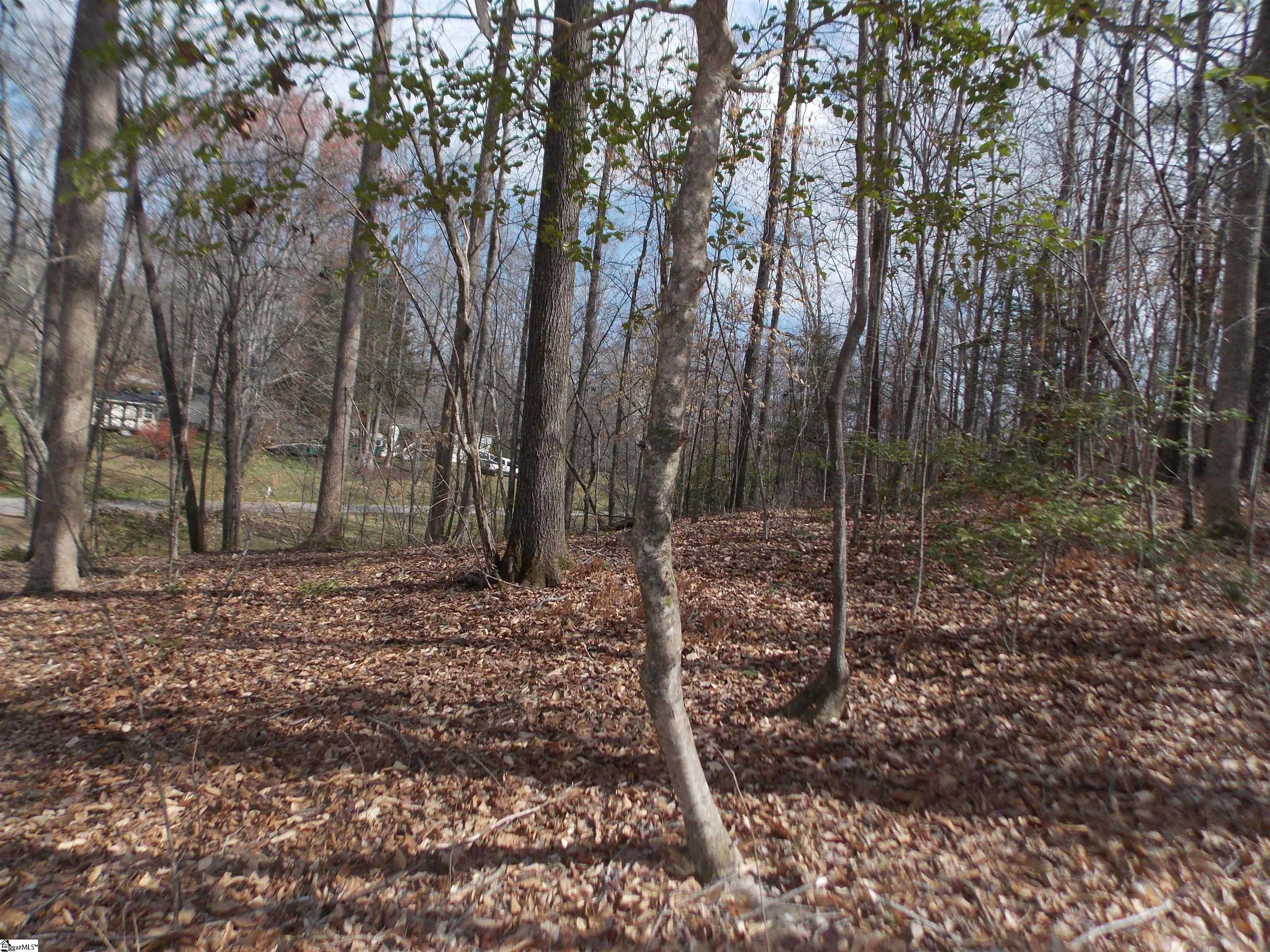 00 Holloway, Marietta, South Carolina image 23