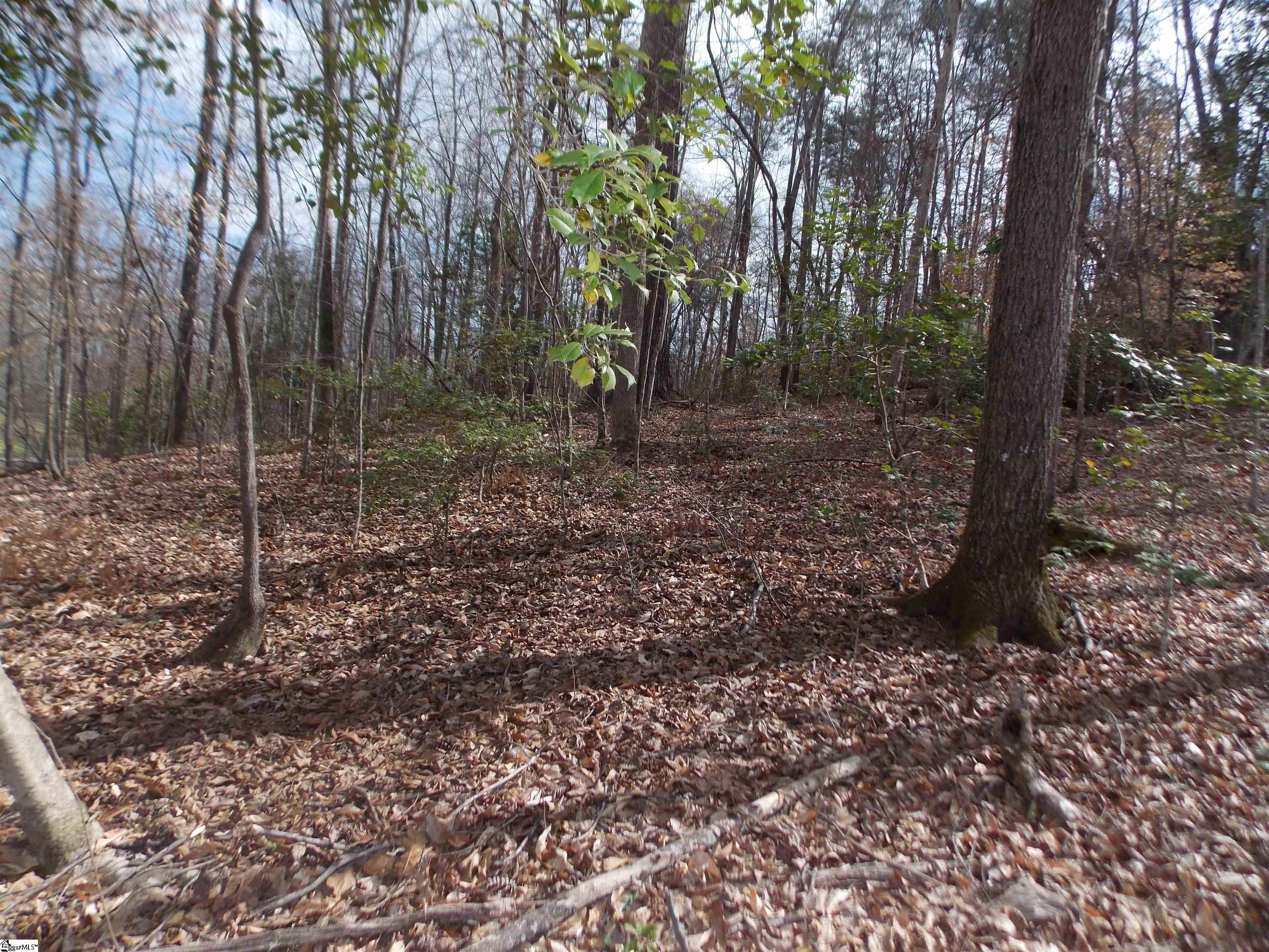 00 Holloway, Marietta, South Carolina image 24