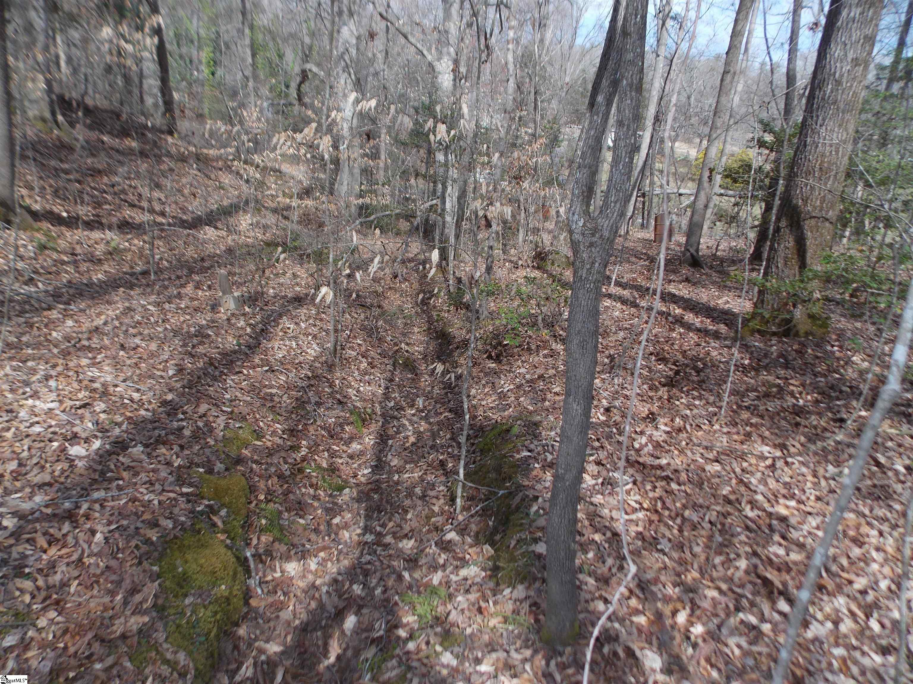 00 Holloway, Marietta, South Carolina image 26