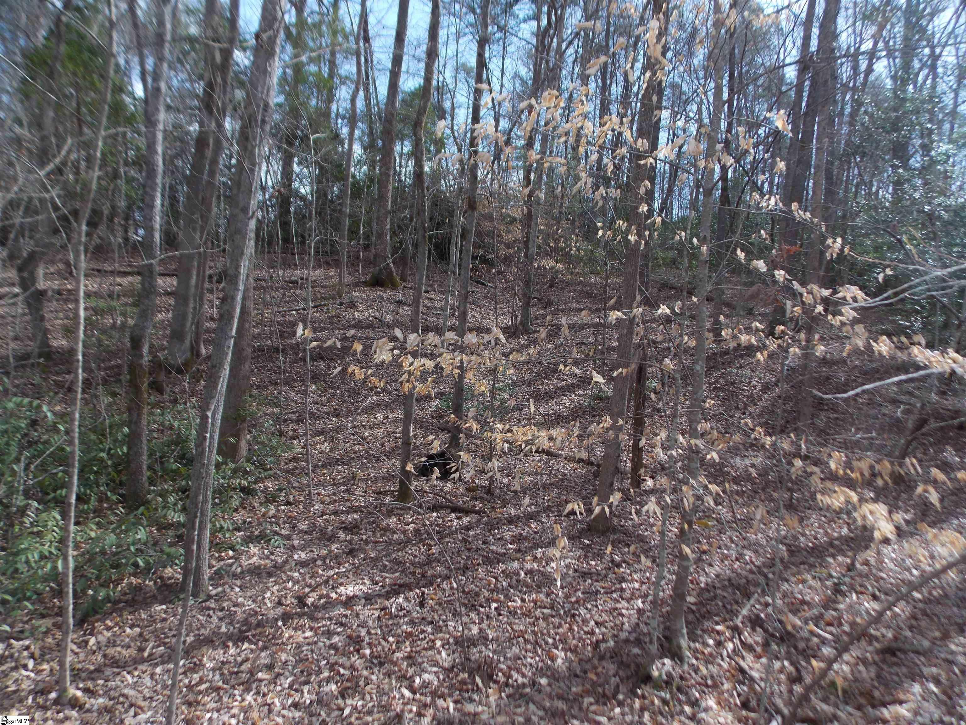 00 Holloway, Marietta, South Carolina image 29