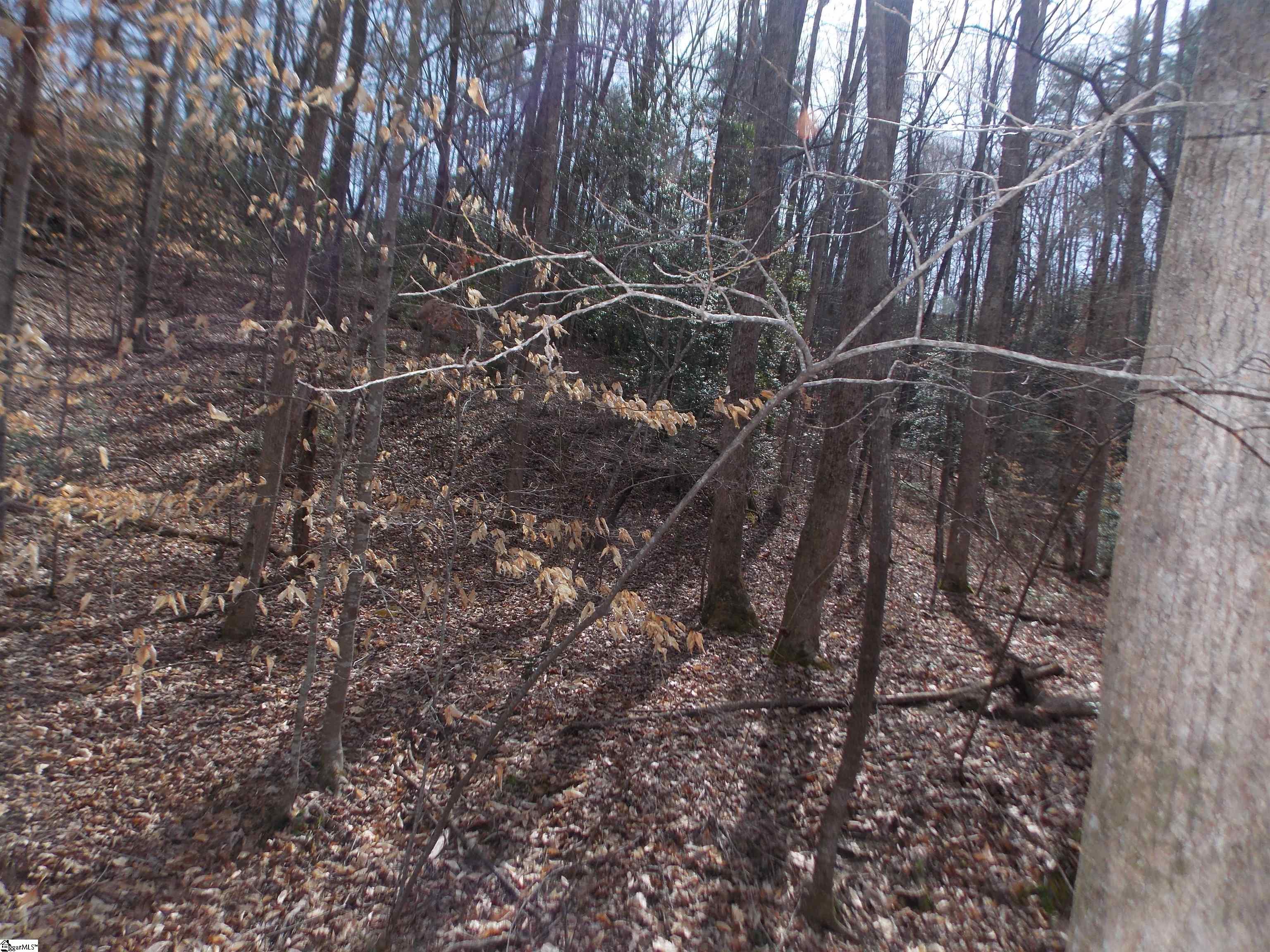 00 Holloway, Marietta, South Carolina image 30