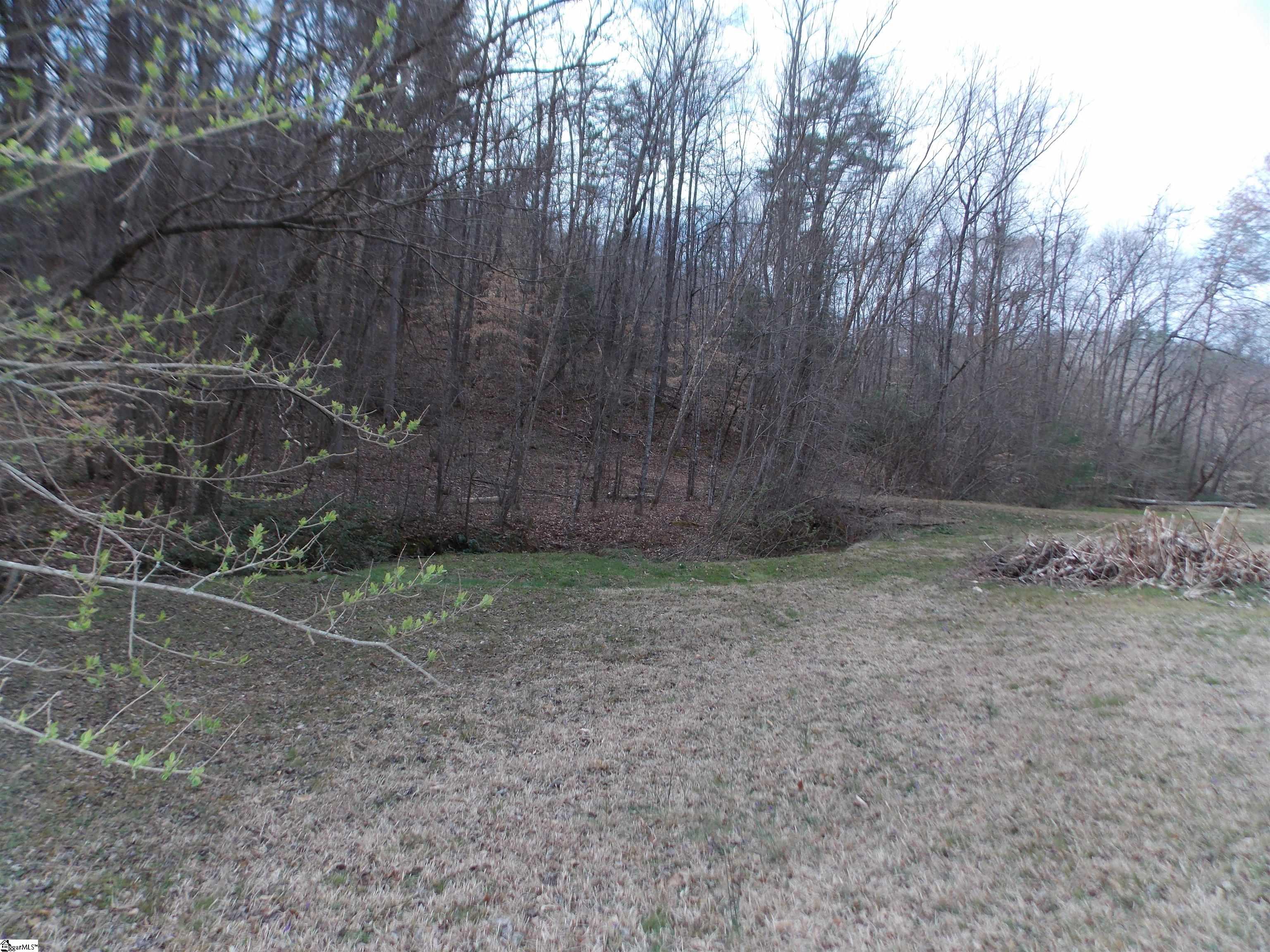 00 Holloway, Marietta, South Carolina image 4