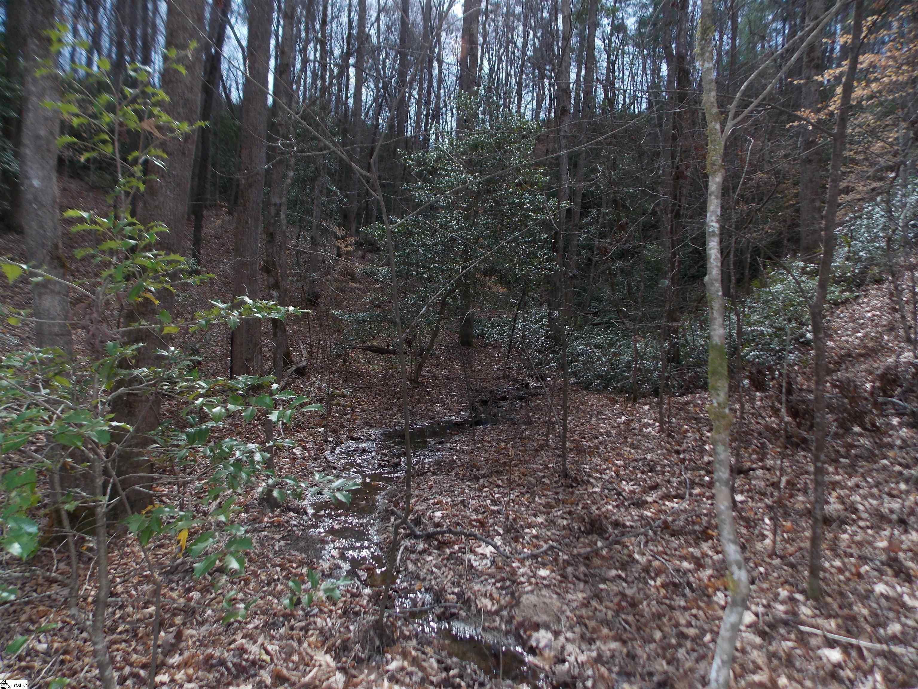 00 Holloway, Marietta, South Carolina image 31