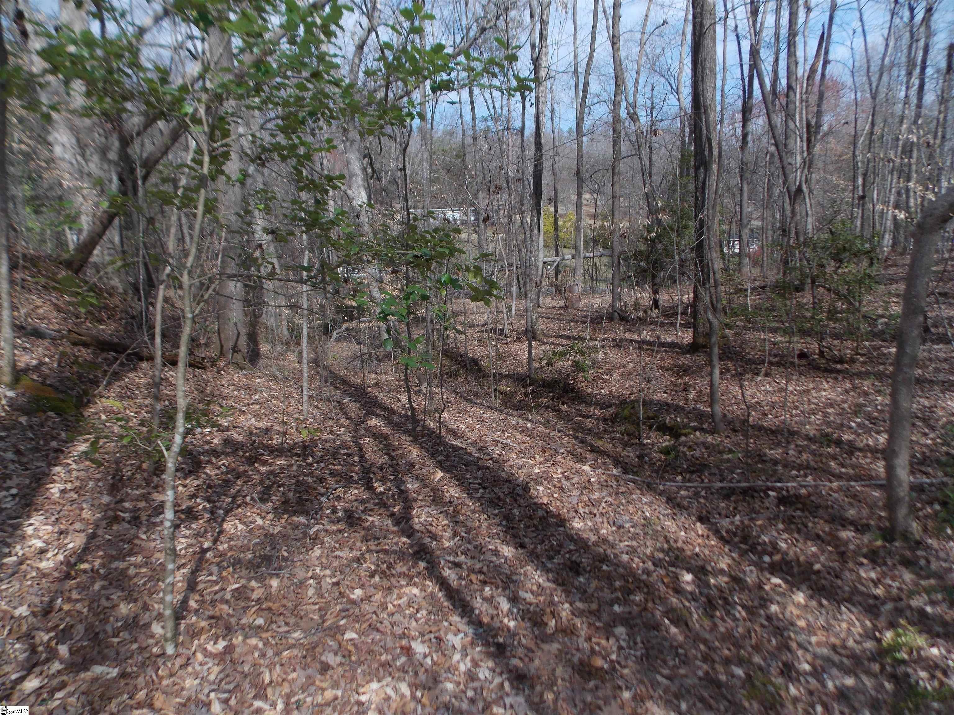 00 Holloway, Marietta, South Carolina image 37