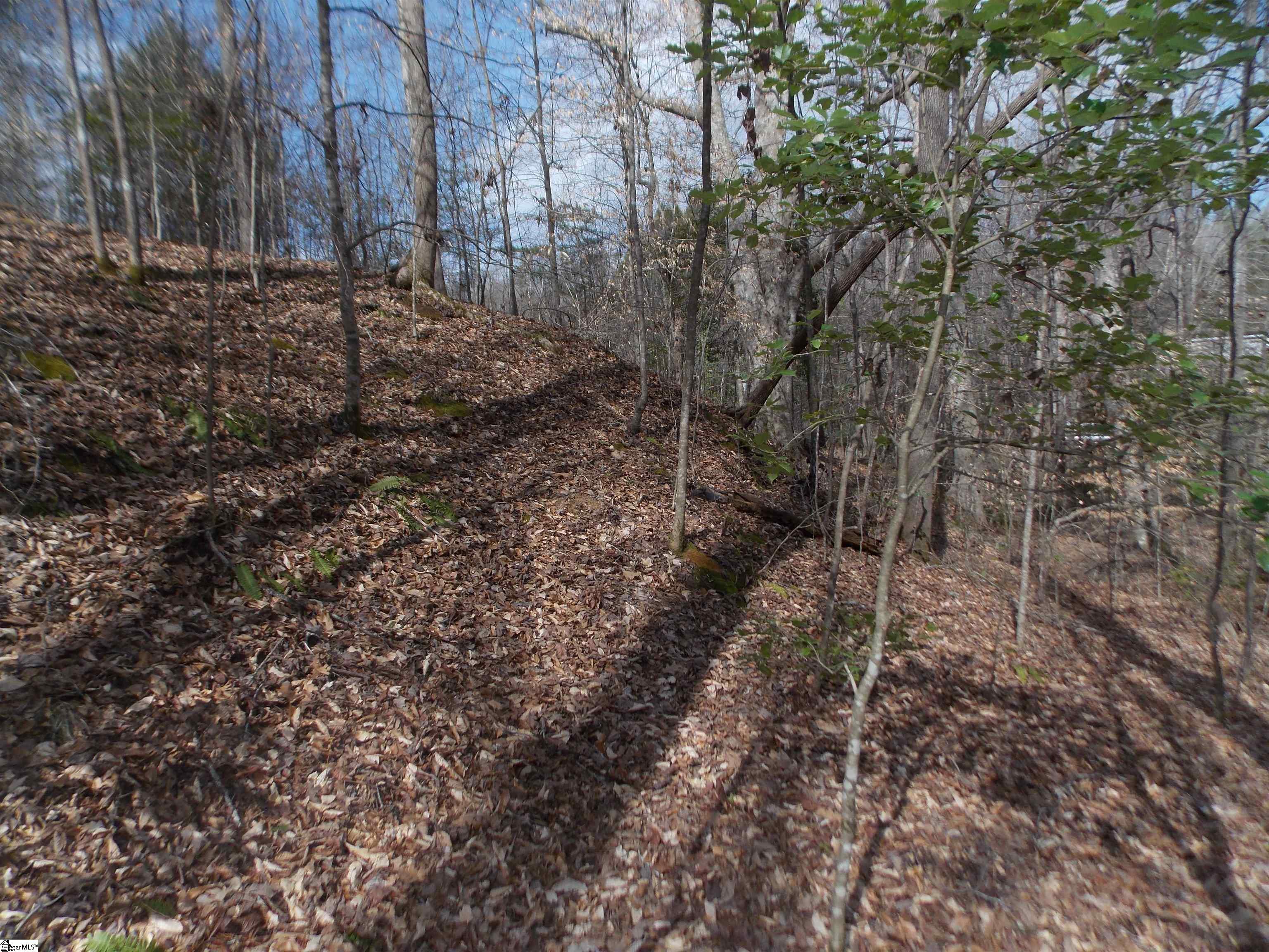 00 Holloway, Marietta, South Carolina image 38