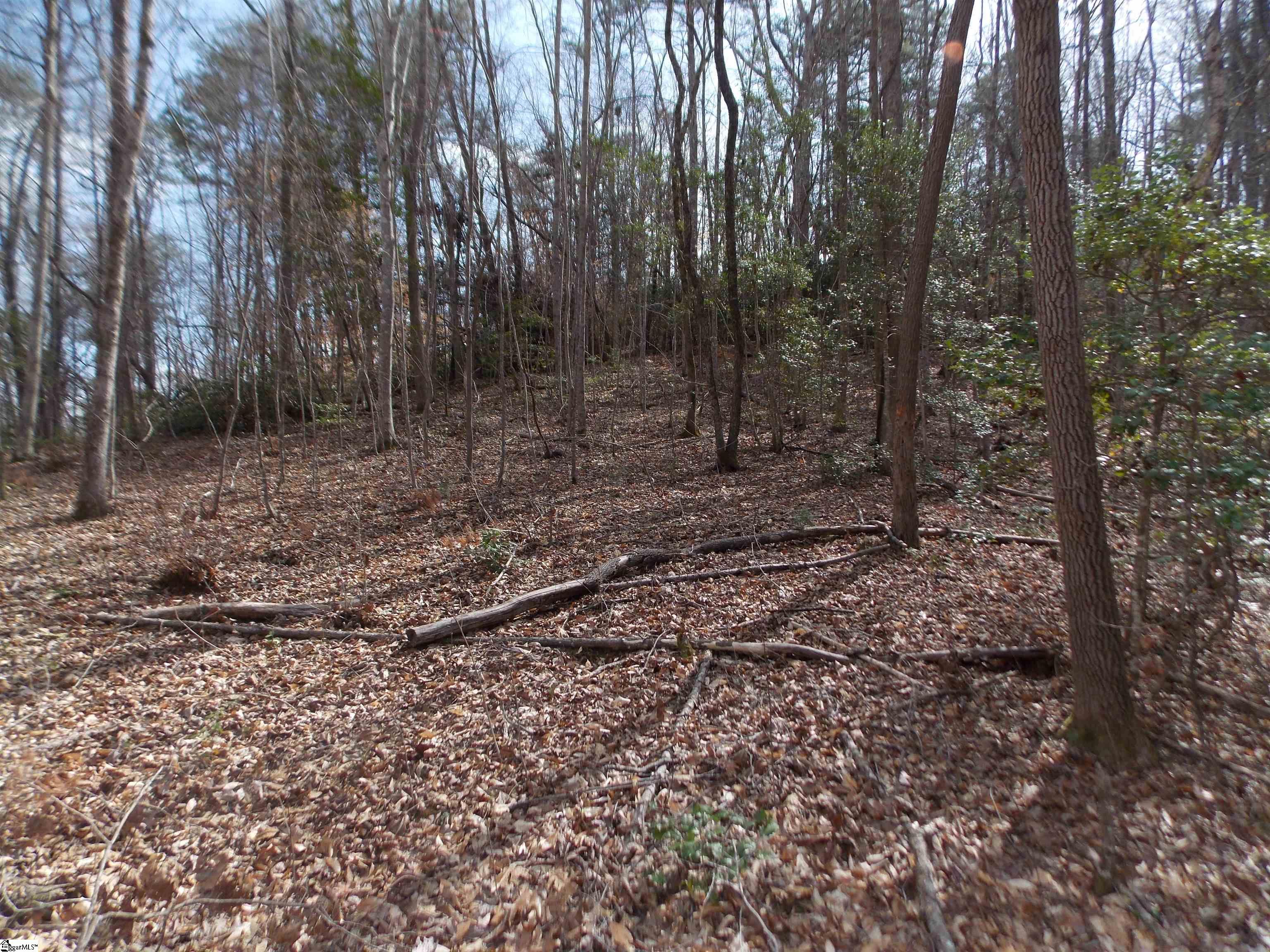00 Holloway, Marietta, South Carolina image 39