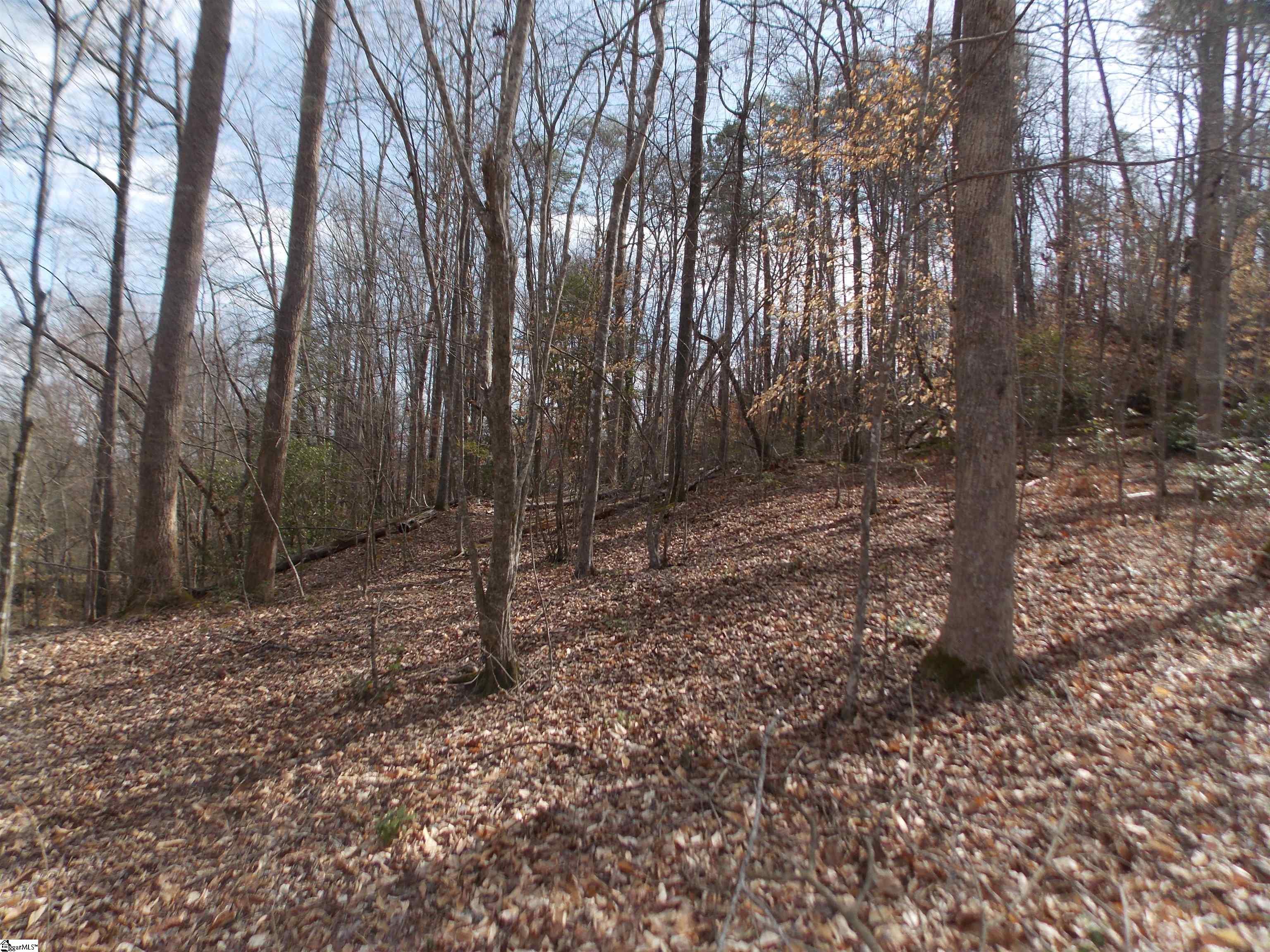 00 Holloway, Marietta, South Carolina image 40