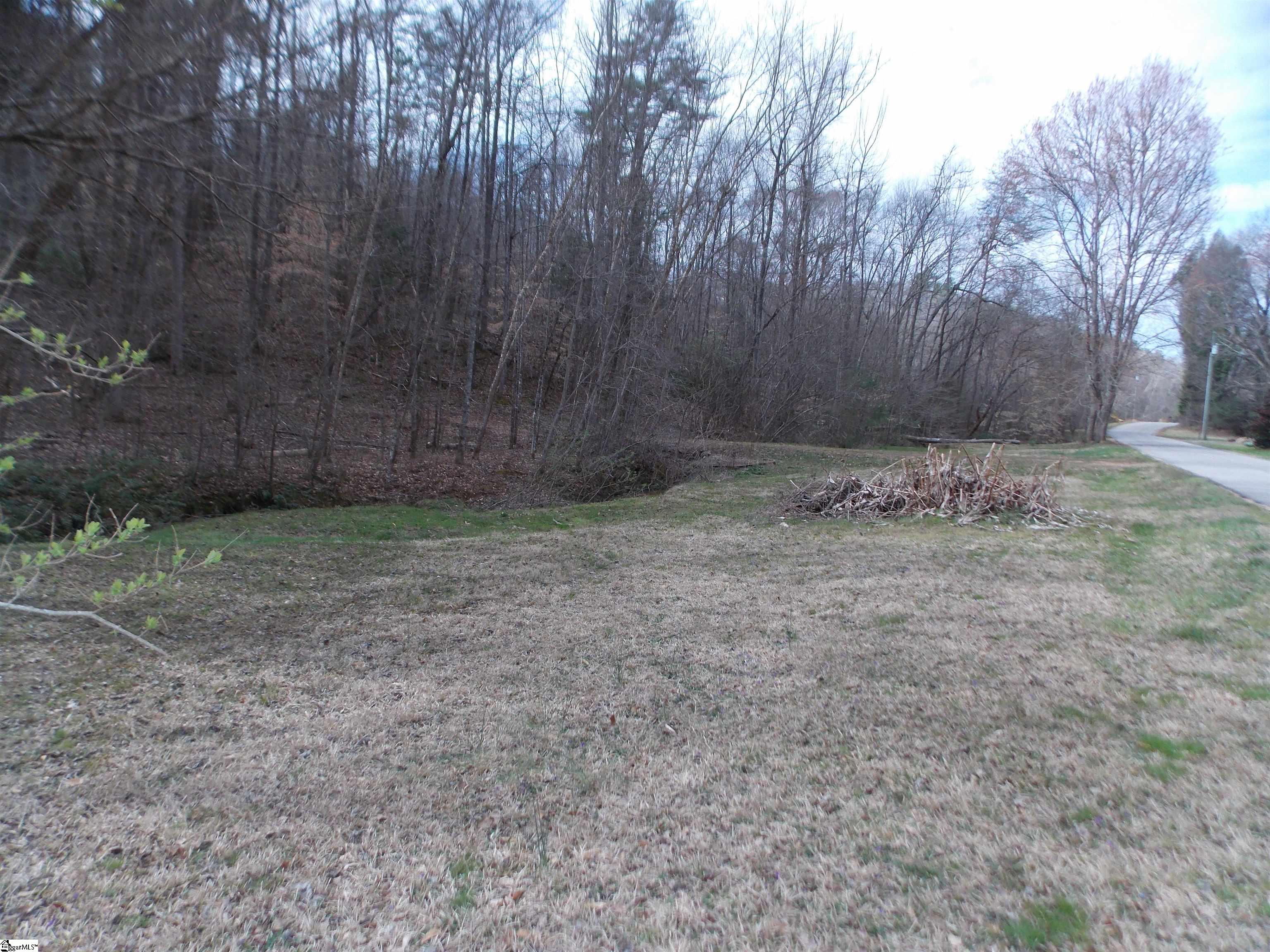 00 Holloway, Marietta, South Carolina image 5
