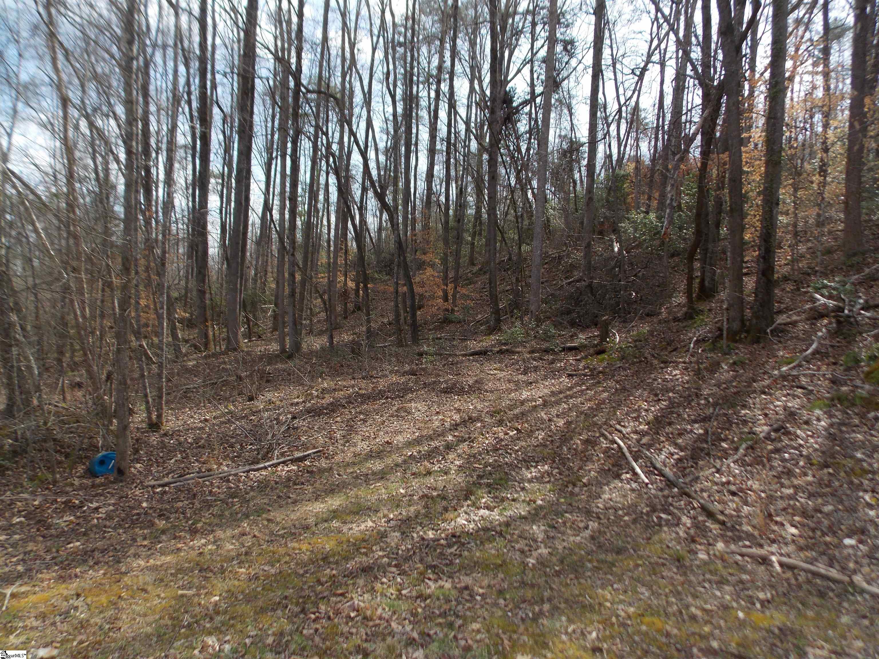 00 Holloway, Marietta, South Carolina image 43