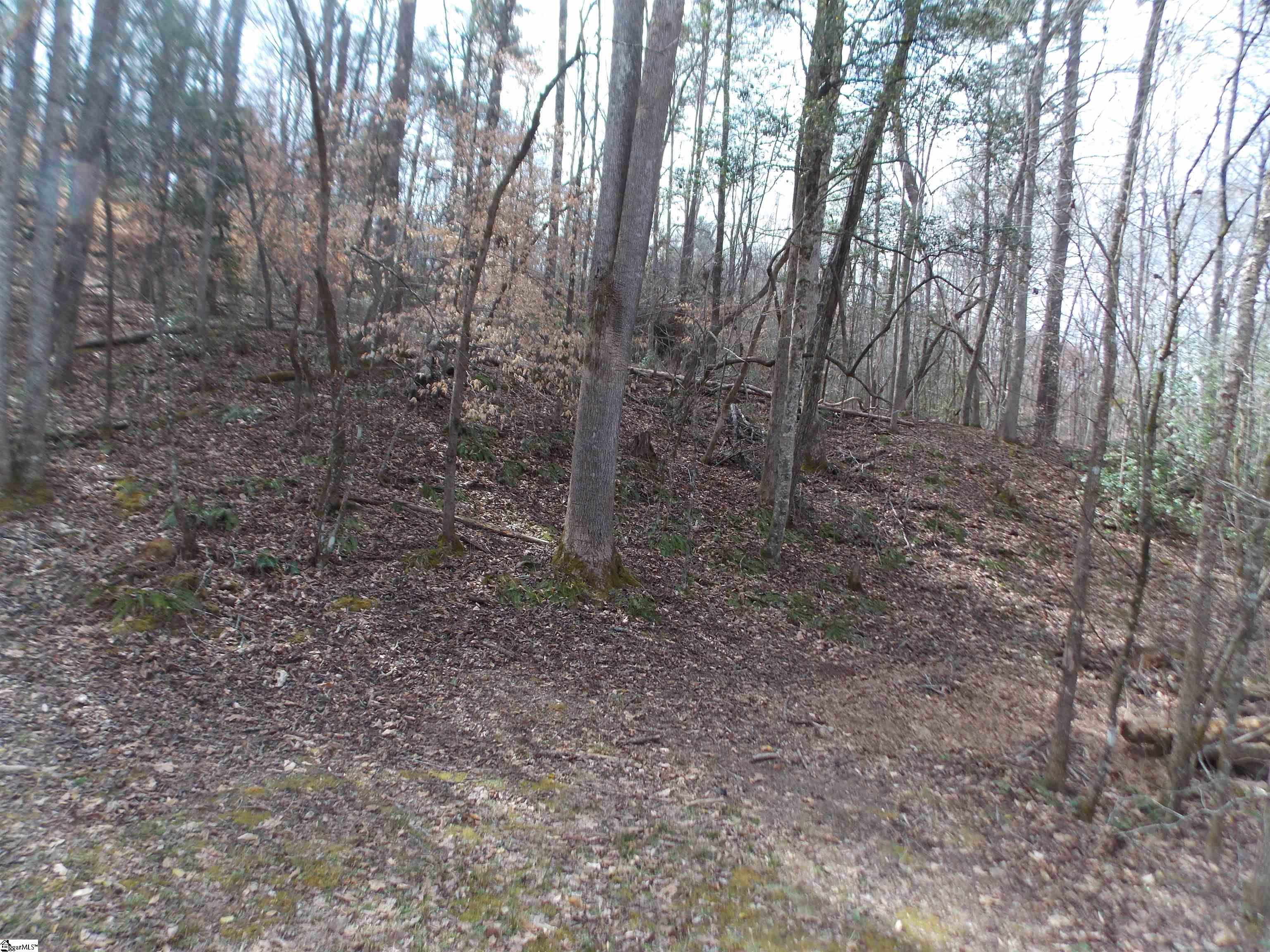 00 Holloway, Marietta, South Carolina image 44