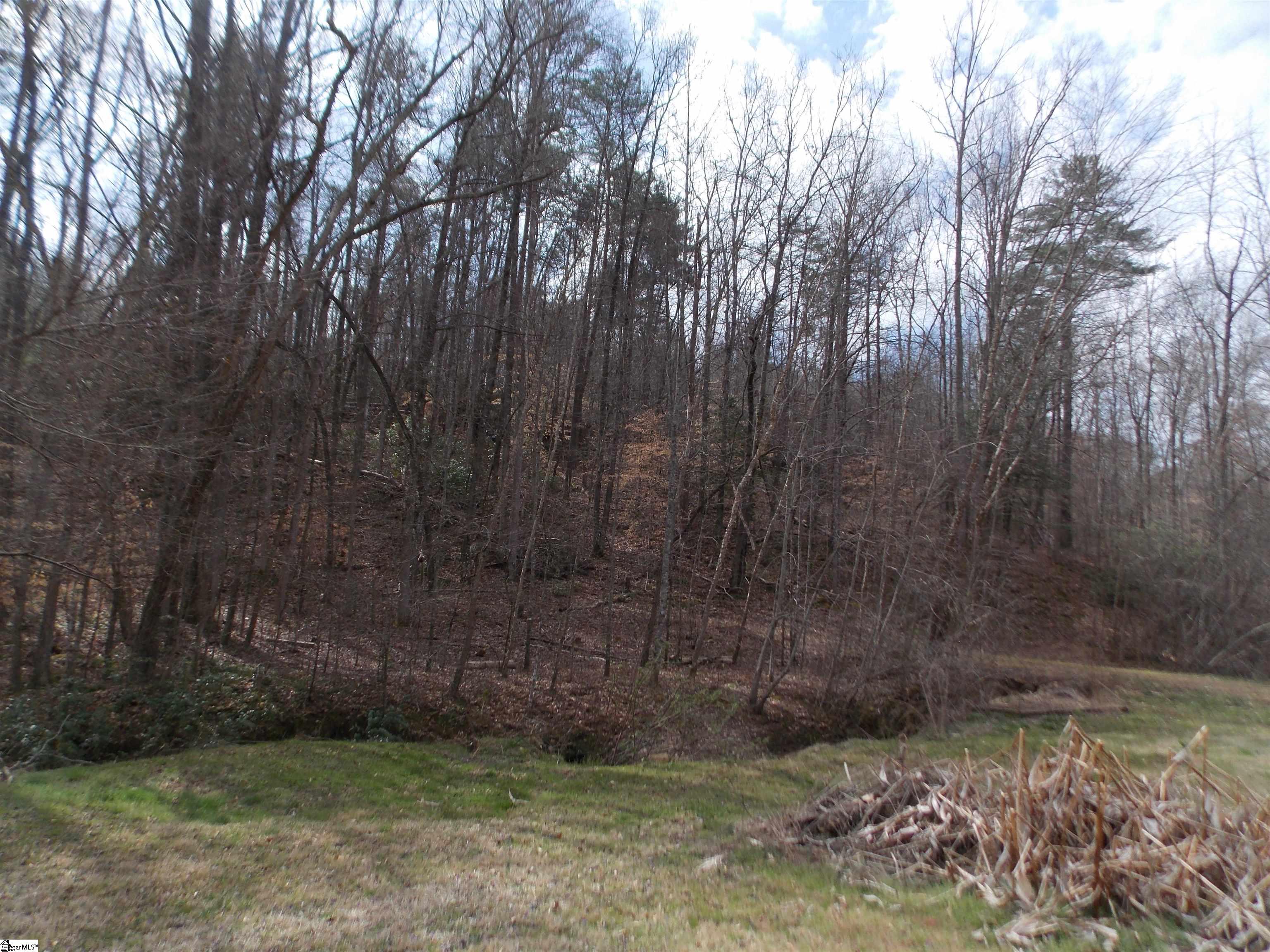 00 Holloway, Marietta, South Carolina image 6