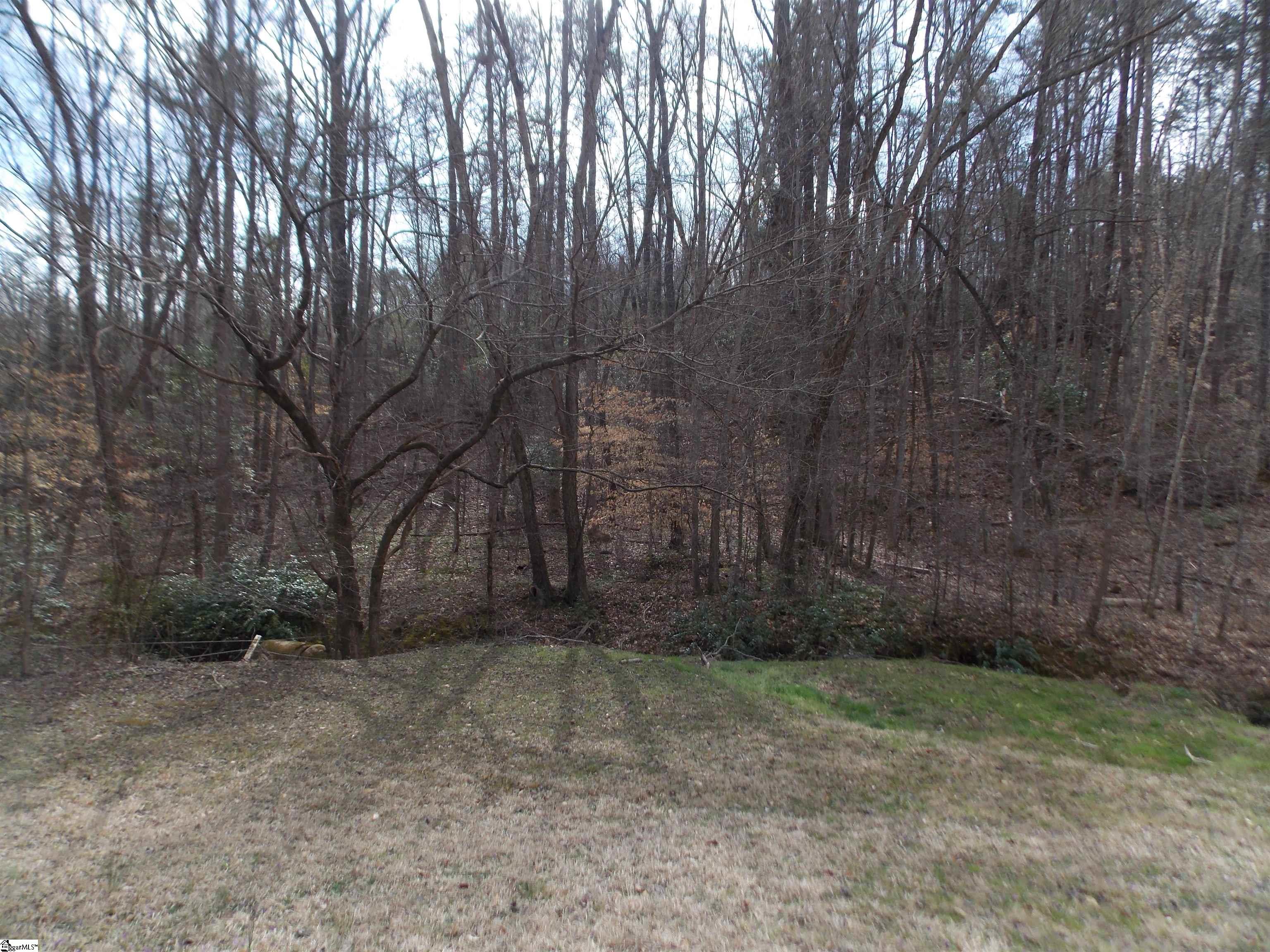 00 Holloway, Marietta, South Carolina image 7