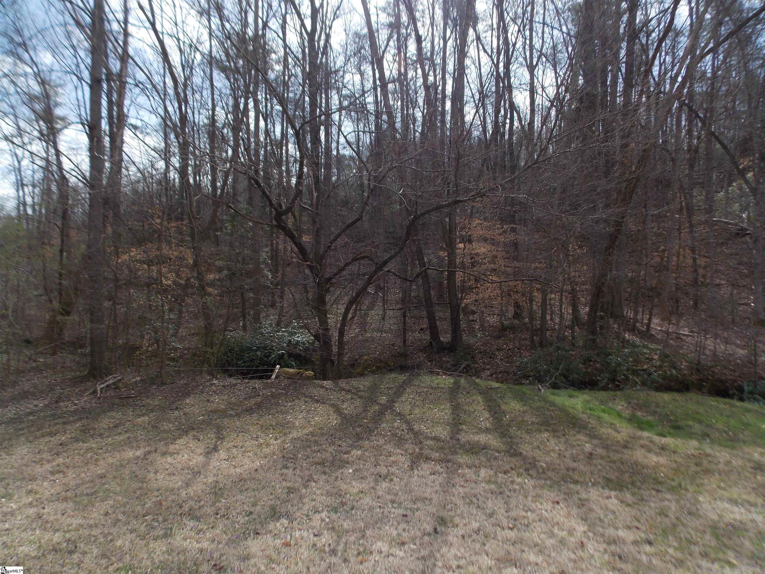 00 Holloway, Marietta, South Carolina image 8
