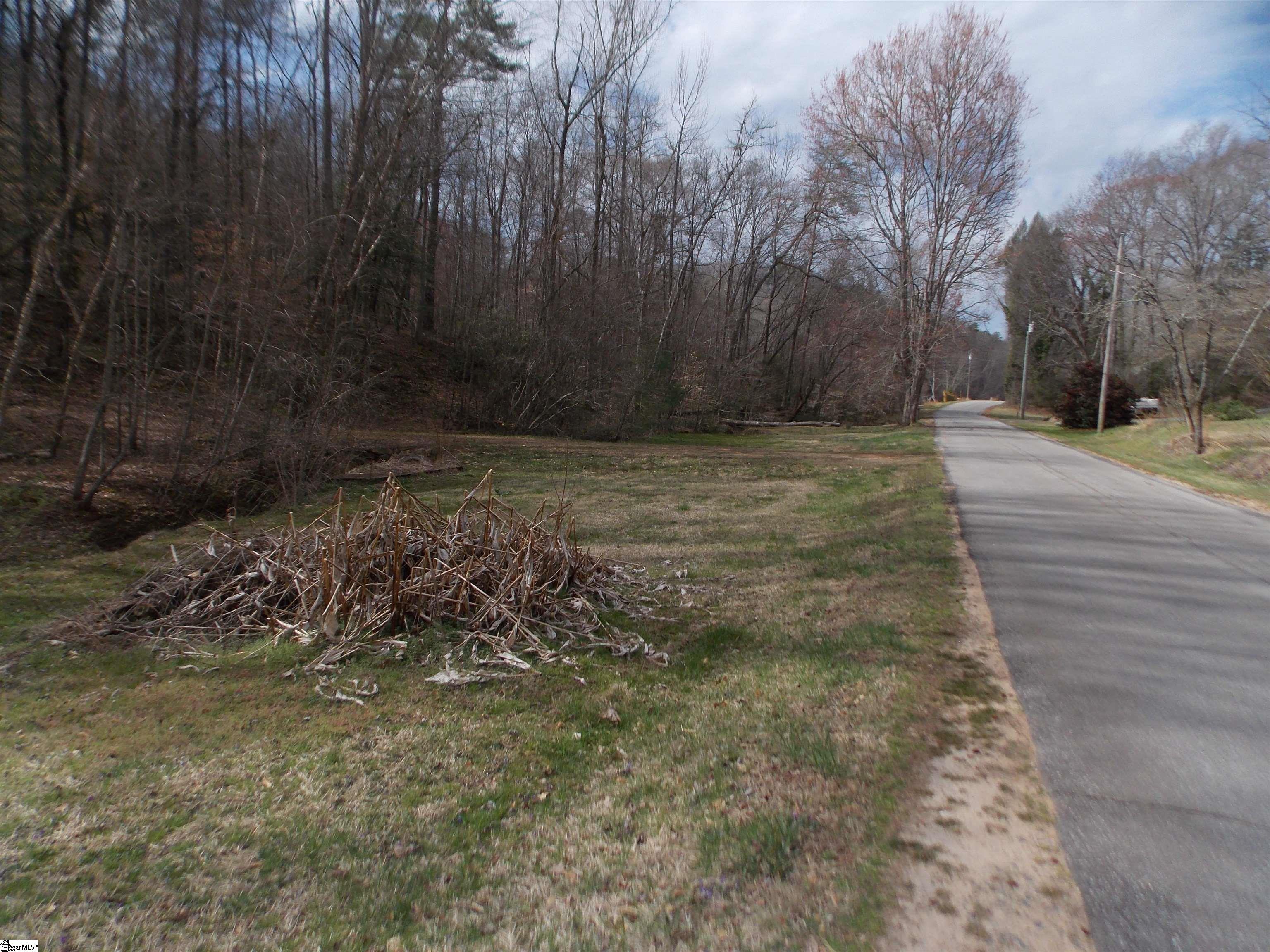 00 Holloway, Marietta, South Carolina image 10