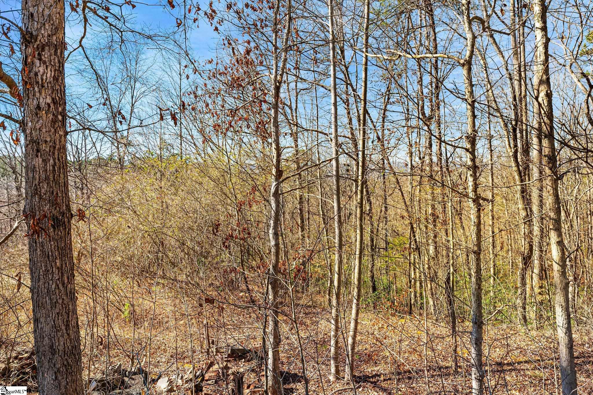 00 Echo Ridge, Marietta, South Carolina image 14