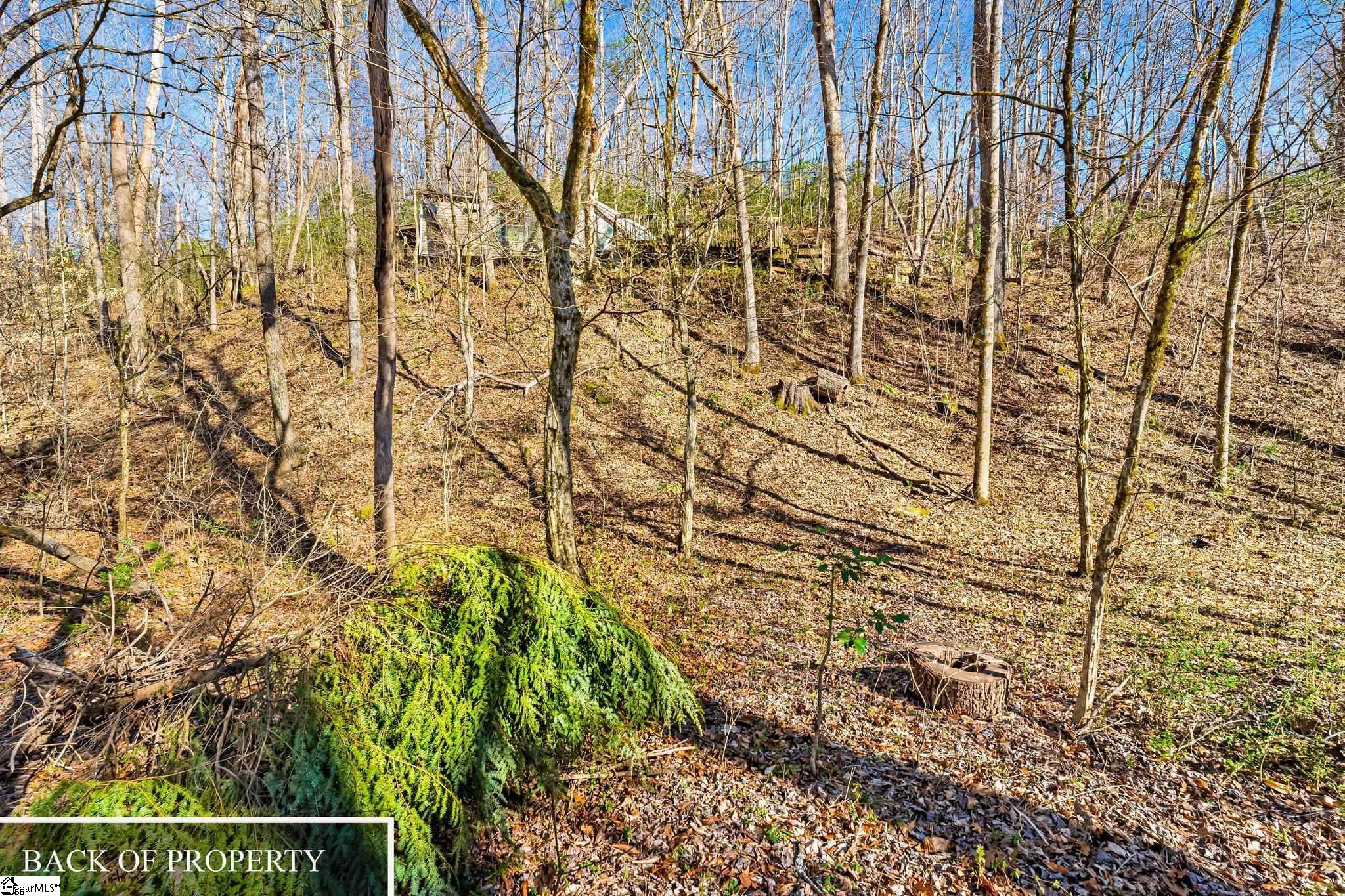 00 Echo Ridge, Marietta, South Carolina image 15