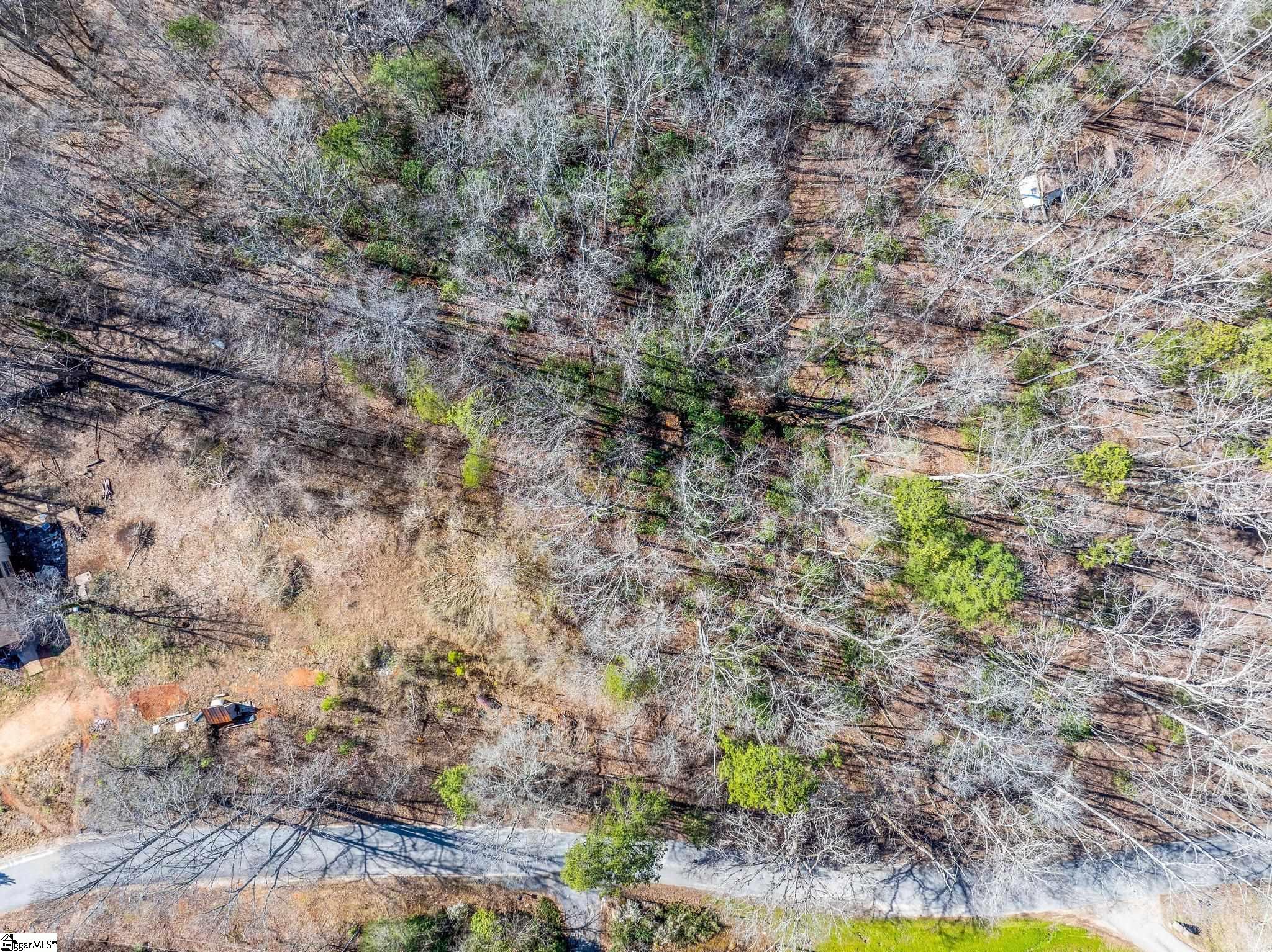 00 Echo Ridge, Marietta, South Carolina image 4