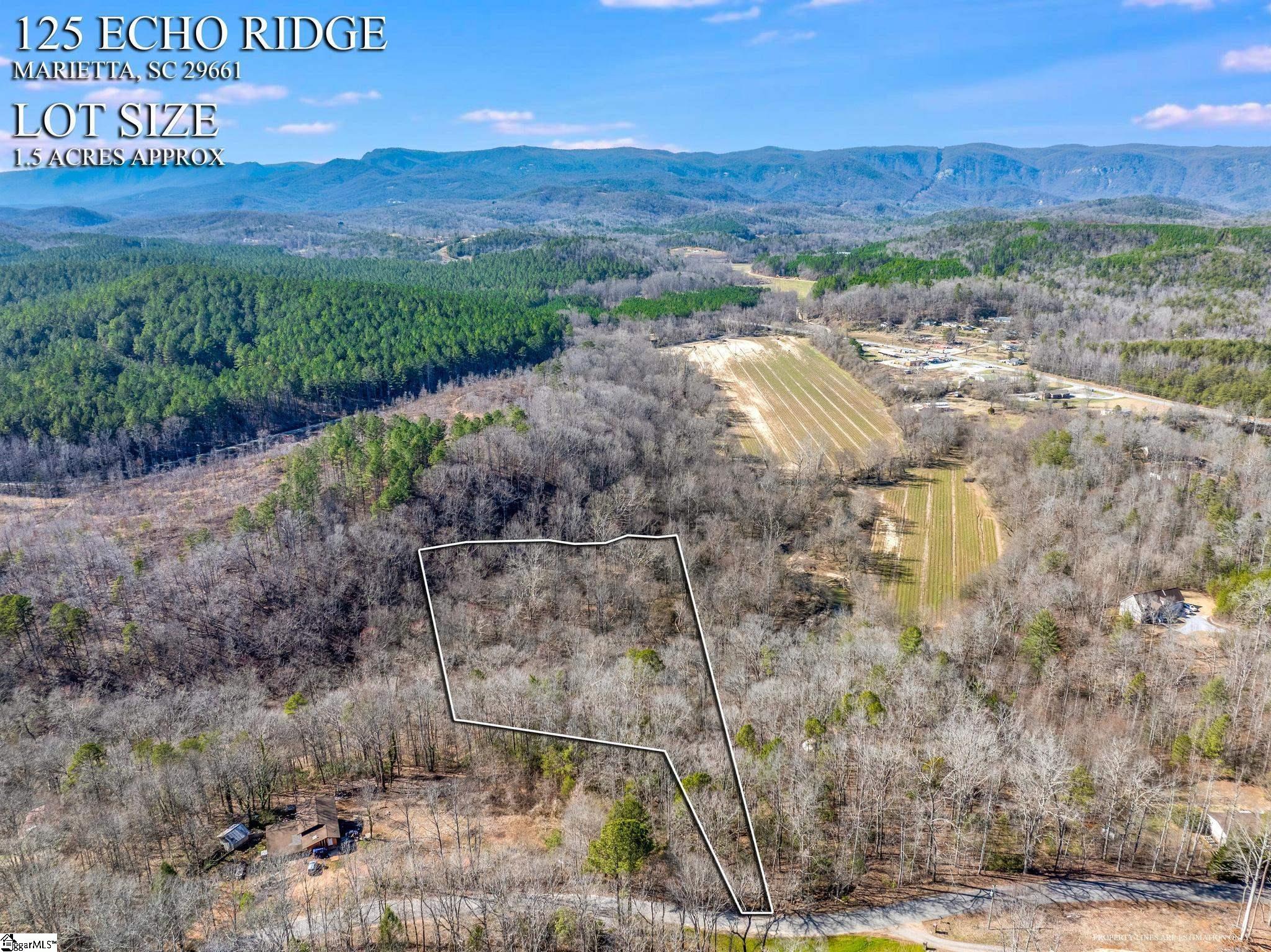 00 Echo Ridge, Marietta, South Carolina image 7