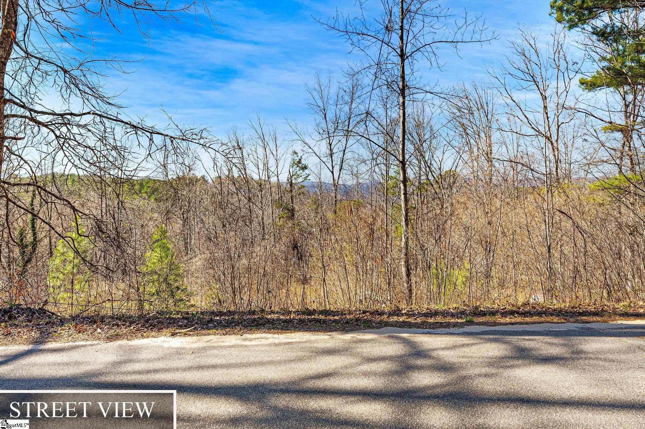 00 Echo Ridge, Marietta, South Carolina image 9