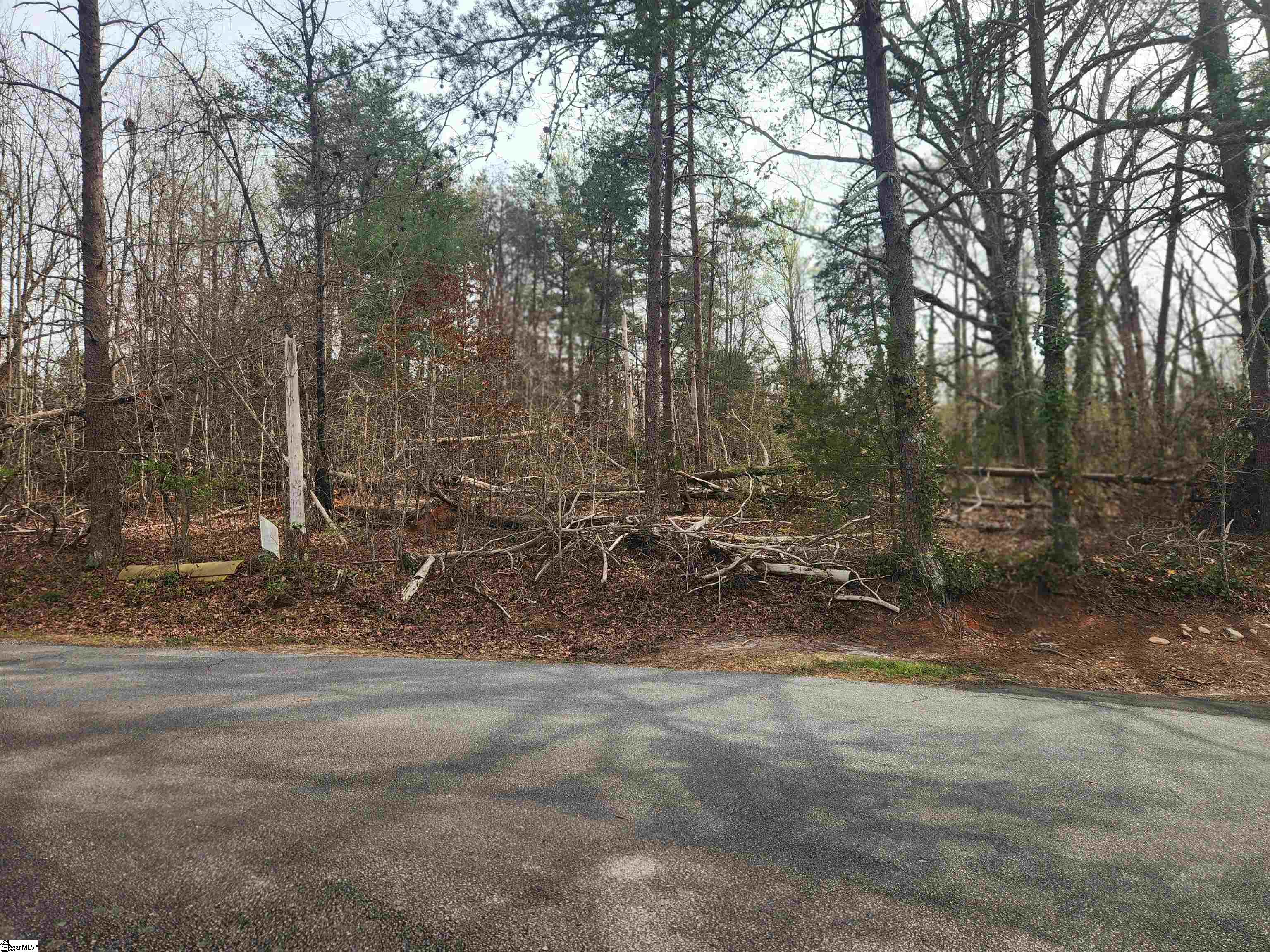 109 Buena Vista, Easley, South Carolina image 1
