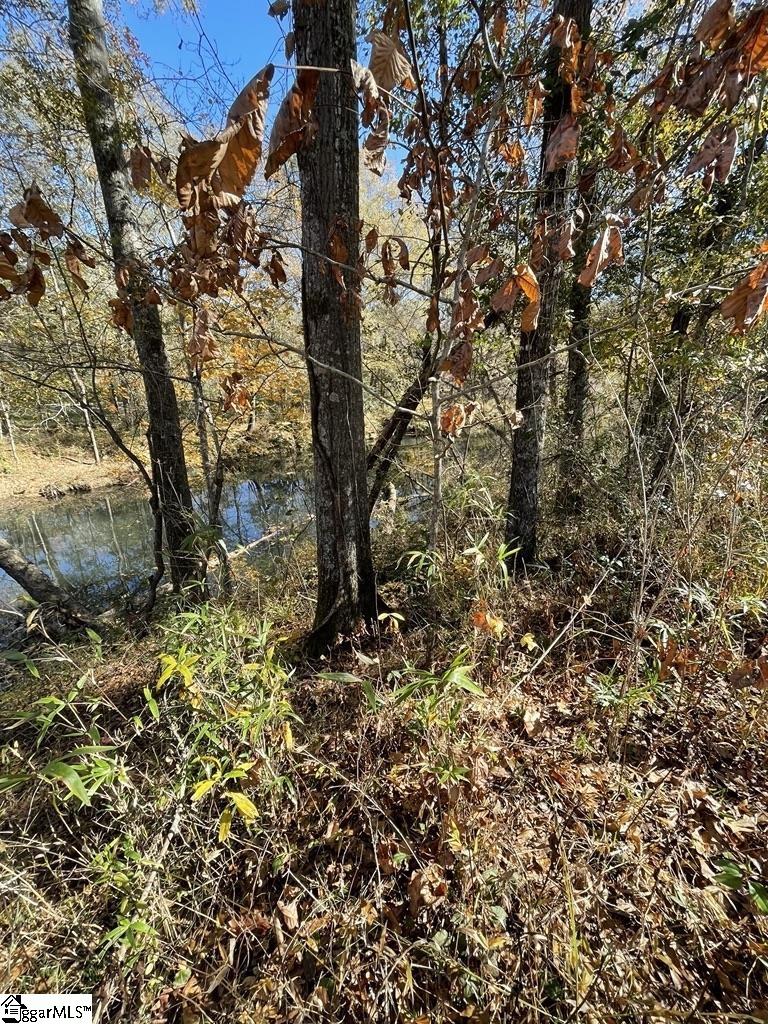 161 Chauga Shoals, Westminster, South Carolina image 19