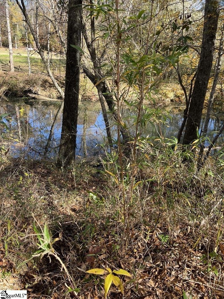 161 Chauga Shoals, Westminster, South Carolina image 20