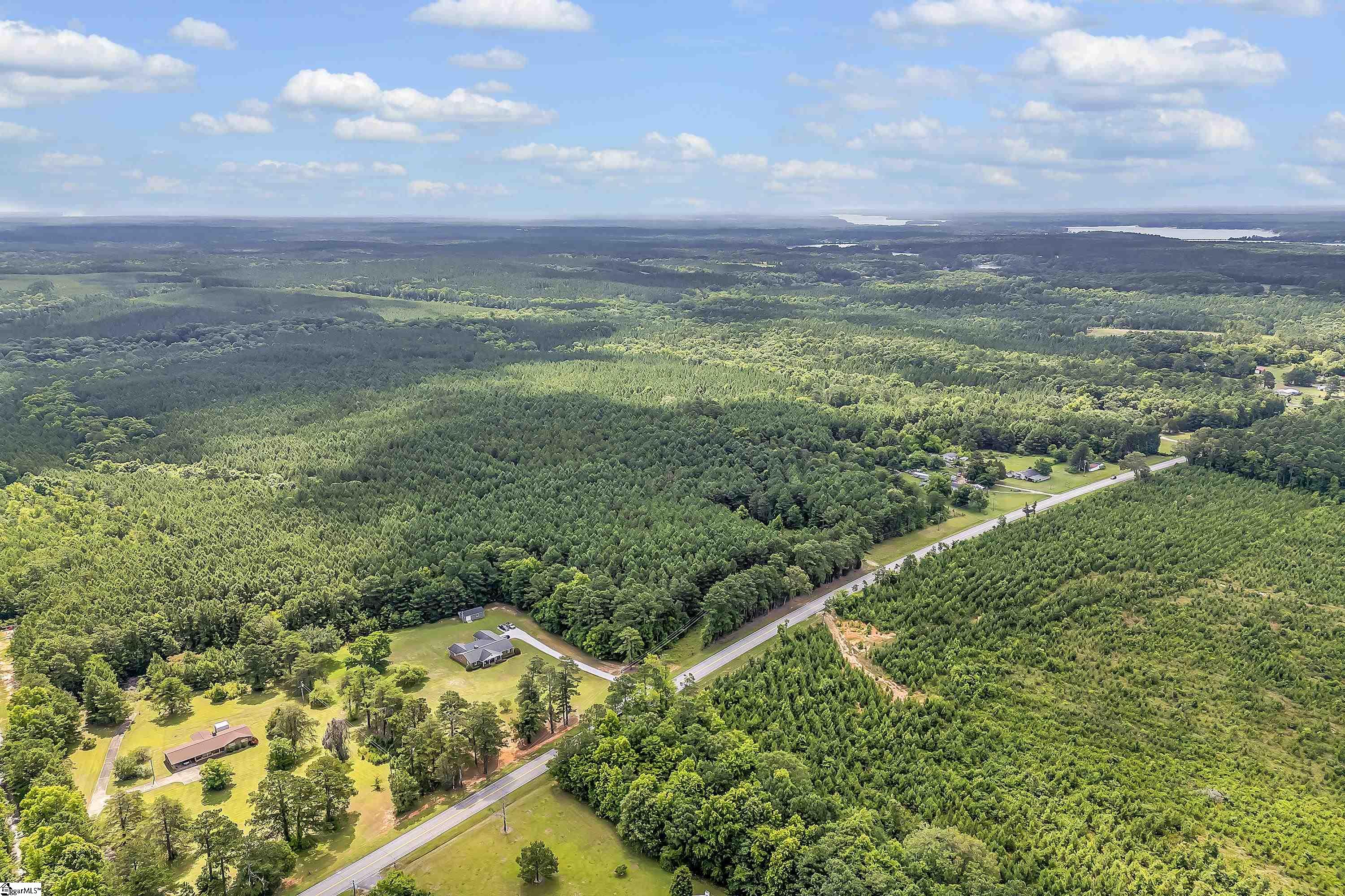 Aerial with Mature Timber and US 221