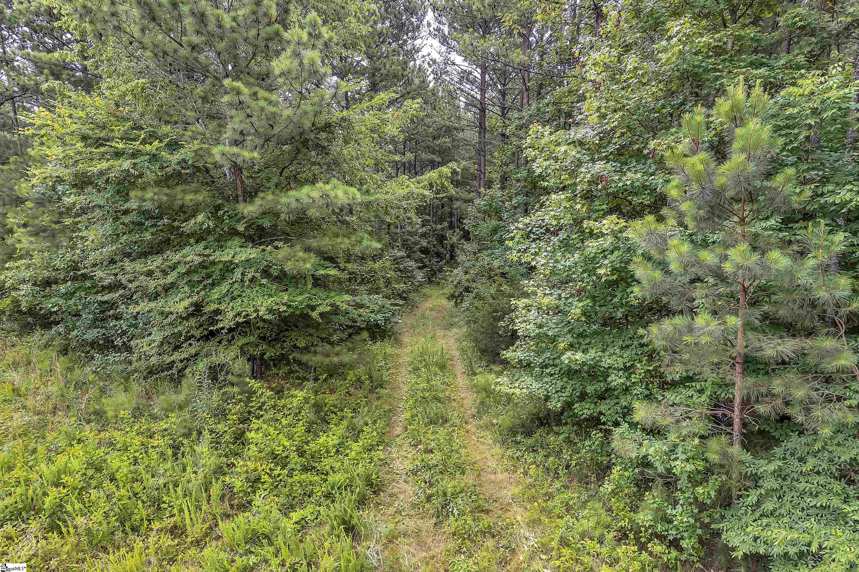 0000 Highway 221, Waterloo, South Carolina image 8