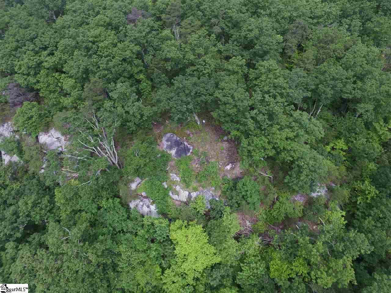 401 Stony, Landrum, South Carolina image 5