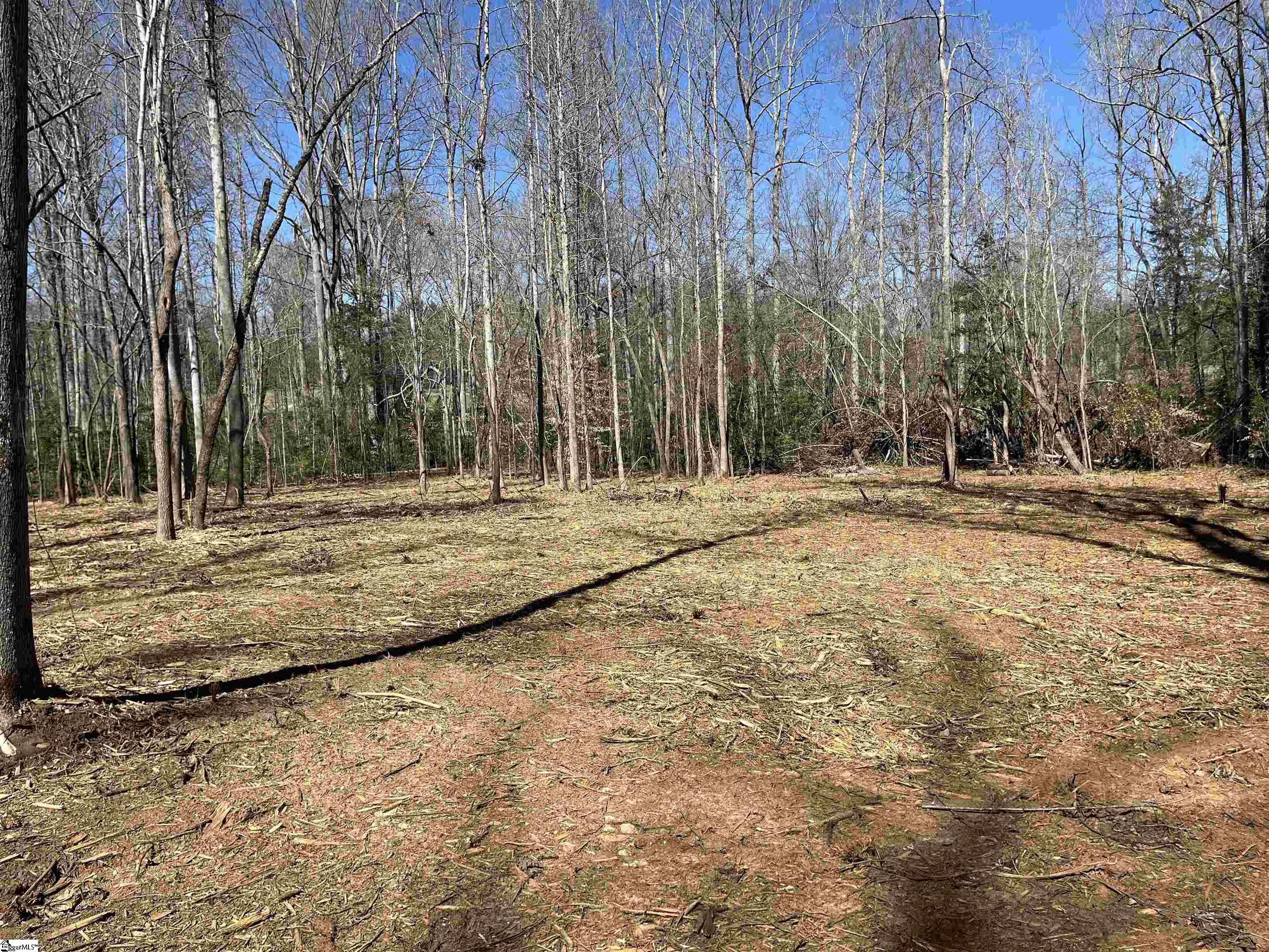 00 Williams Road Pelzer, SC 29669