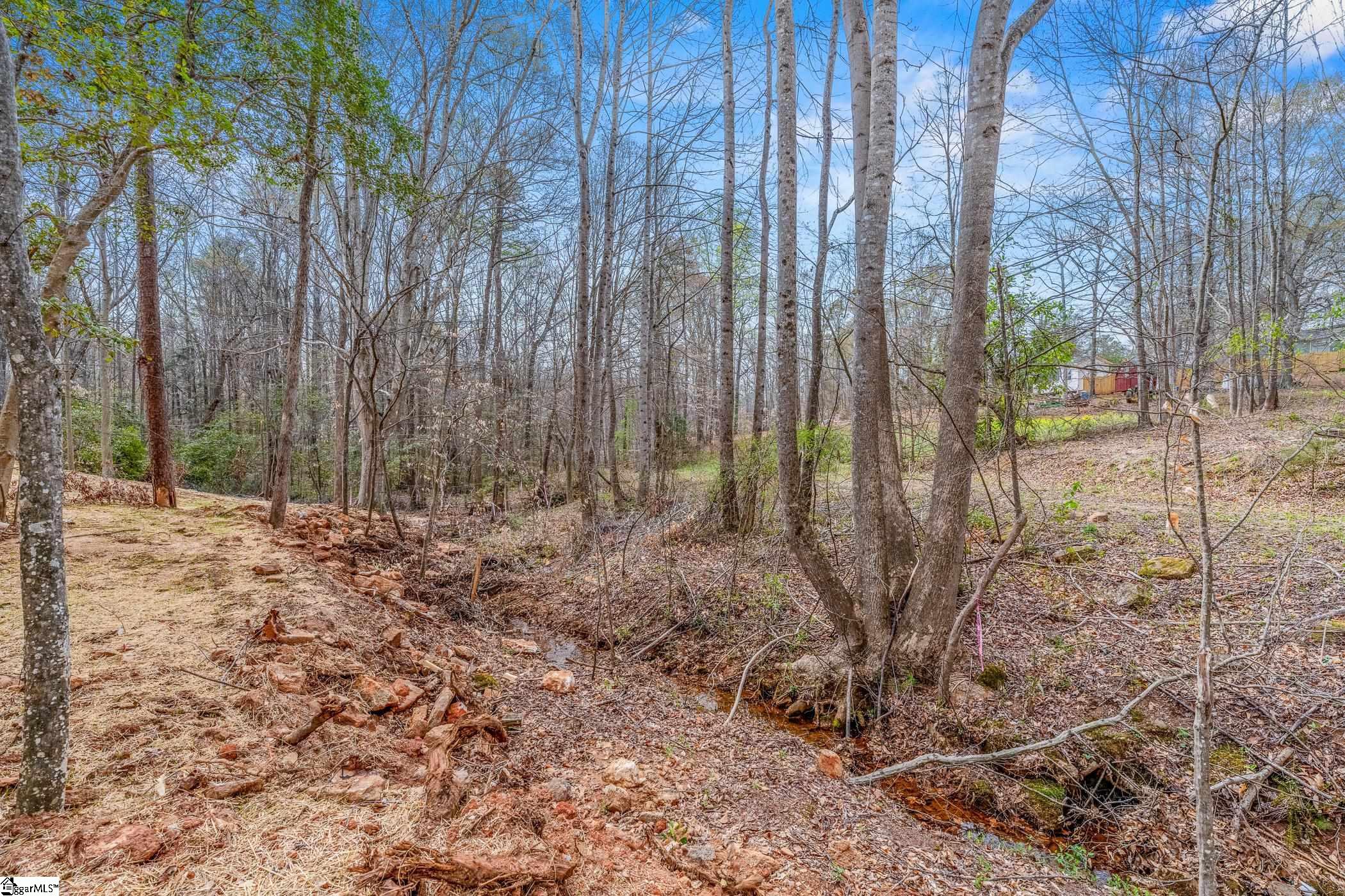 14 Polk, Greenville, South Carolina image 26