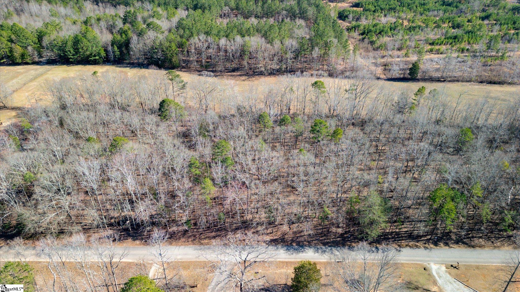 Broken Arrow, Pelzer, South Carolina image 3