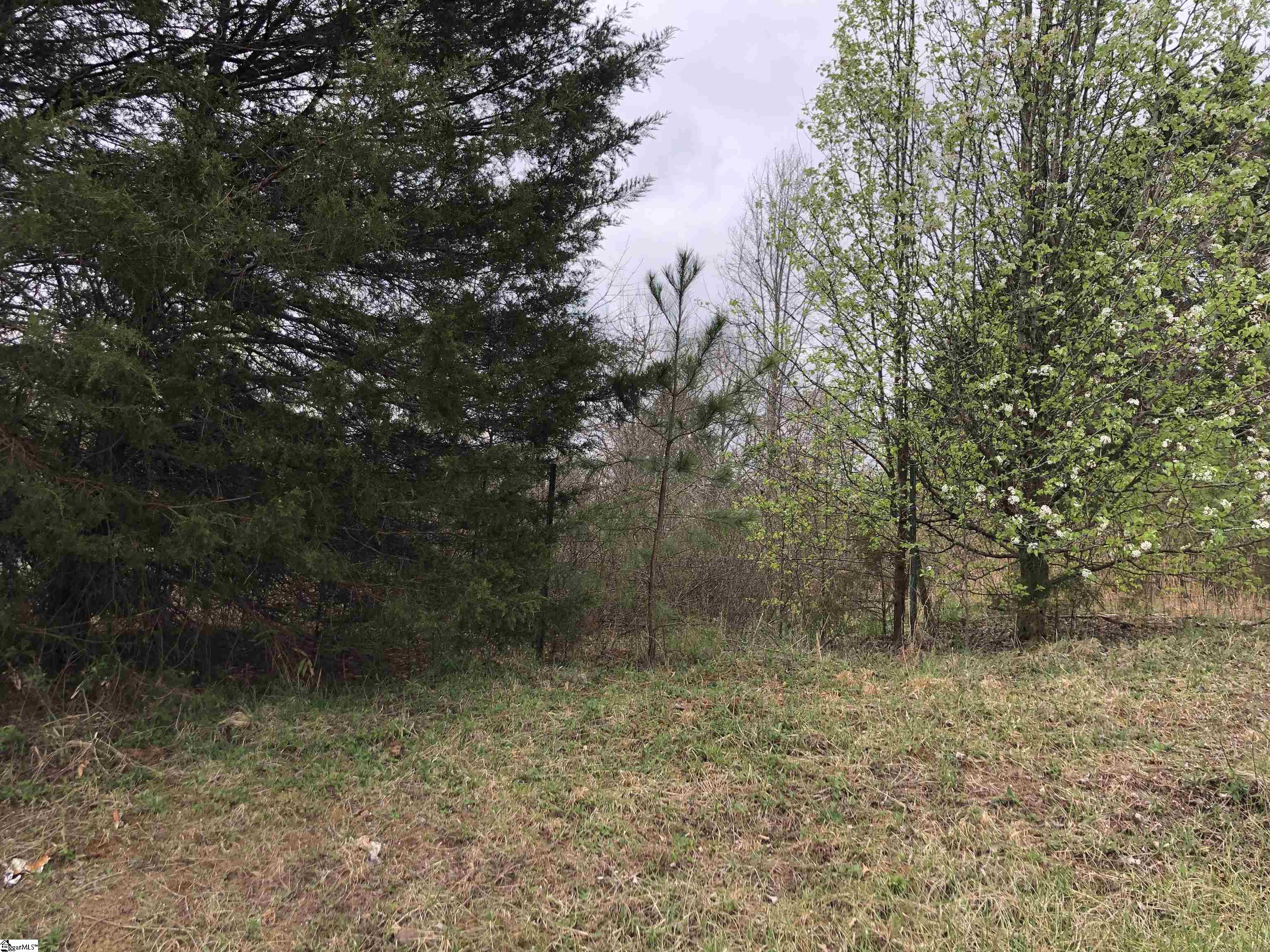 Lot 12 Jamyn Court Cowpens, SC 29330