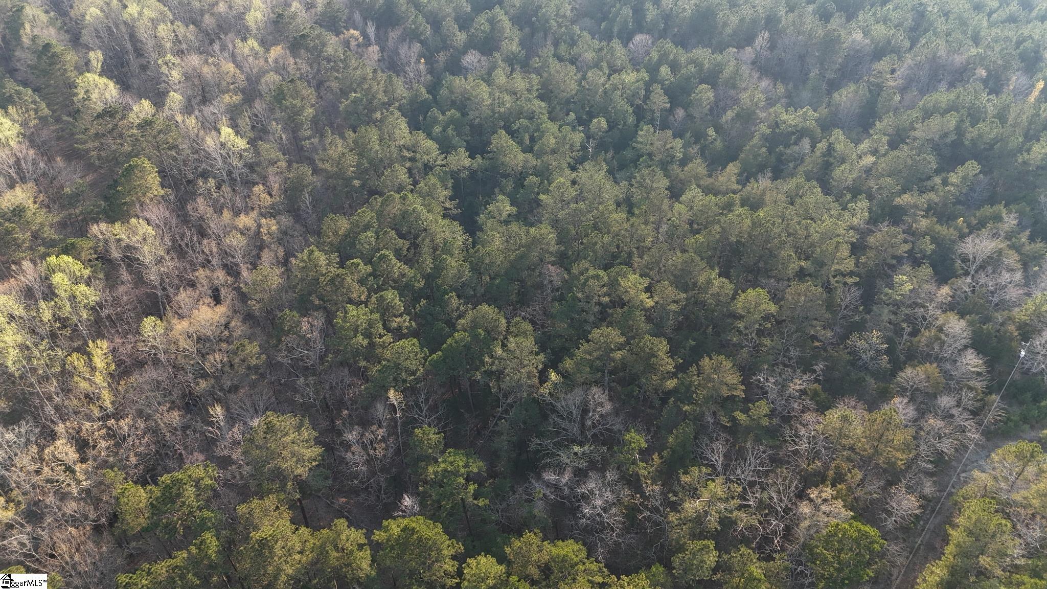 161 Elaines, Clinton, South Carolina image 1