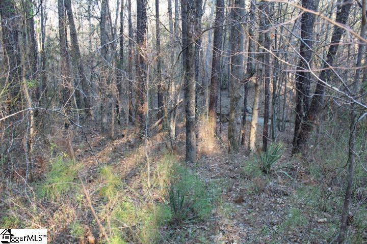 161 Elaines, Clinton, South Carolina image 5