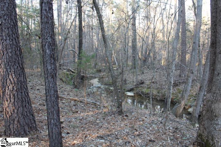 161 Elaines, Clinton, South Carolina image 8