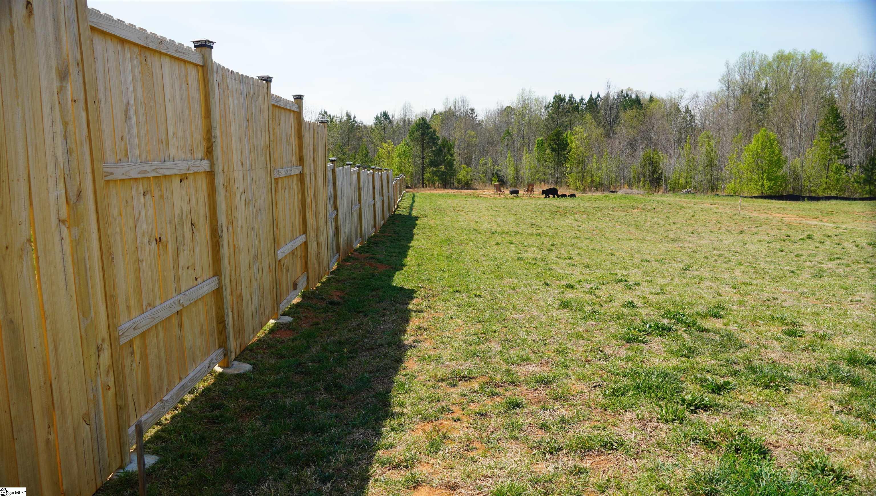138 Lowe, Chesnee, South Carolina image 35