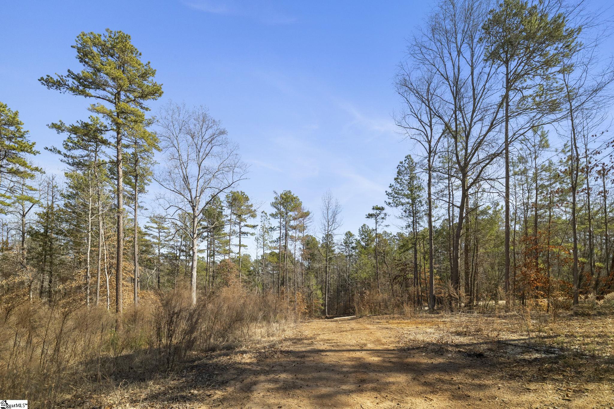 209 Starlight, Fair Play, South Carolina image 1