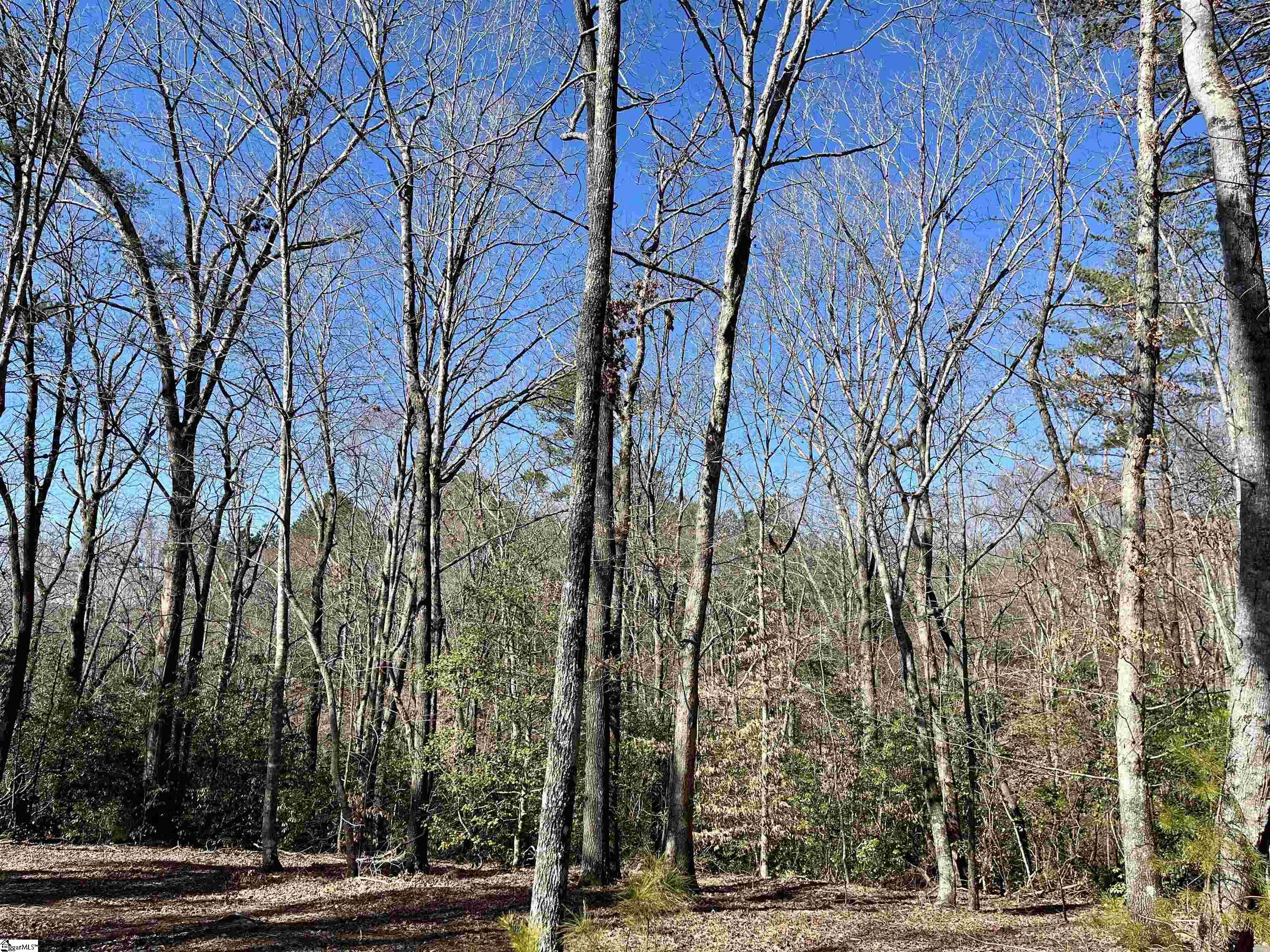 00 Landrum Creek Road, Marietta SC 29661