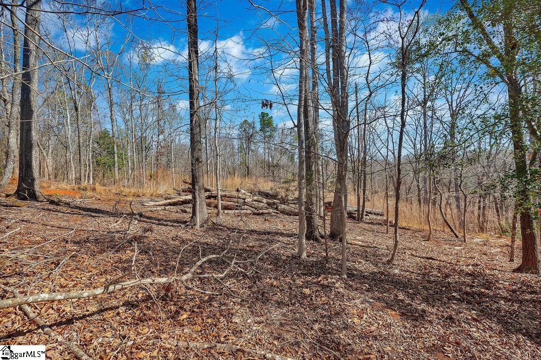 00 Perry, Townville, South Carolina image 3