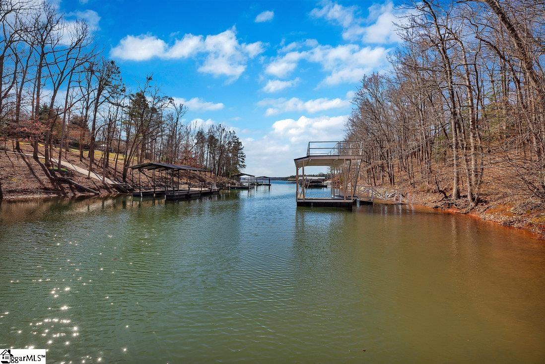 00 Perry, Townville, South Carolina image 5