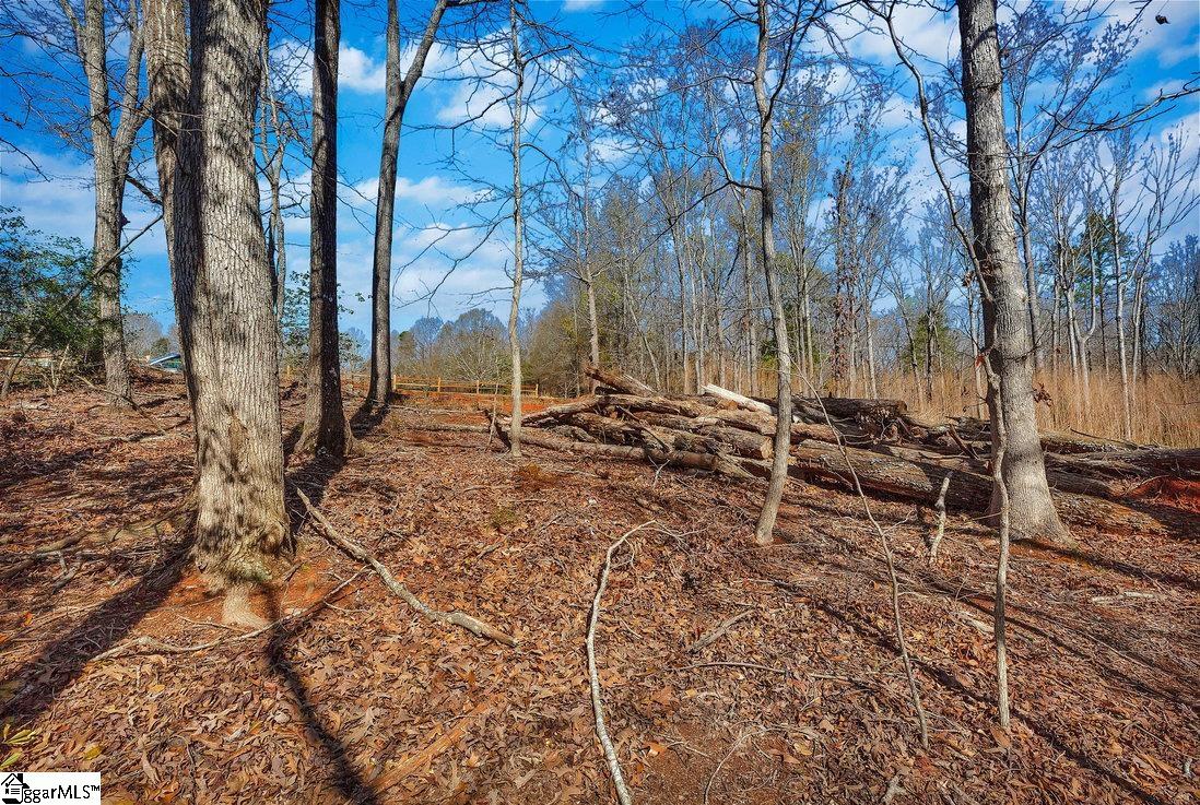 00 Perry, Townville, South Carolina image 7