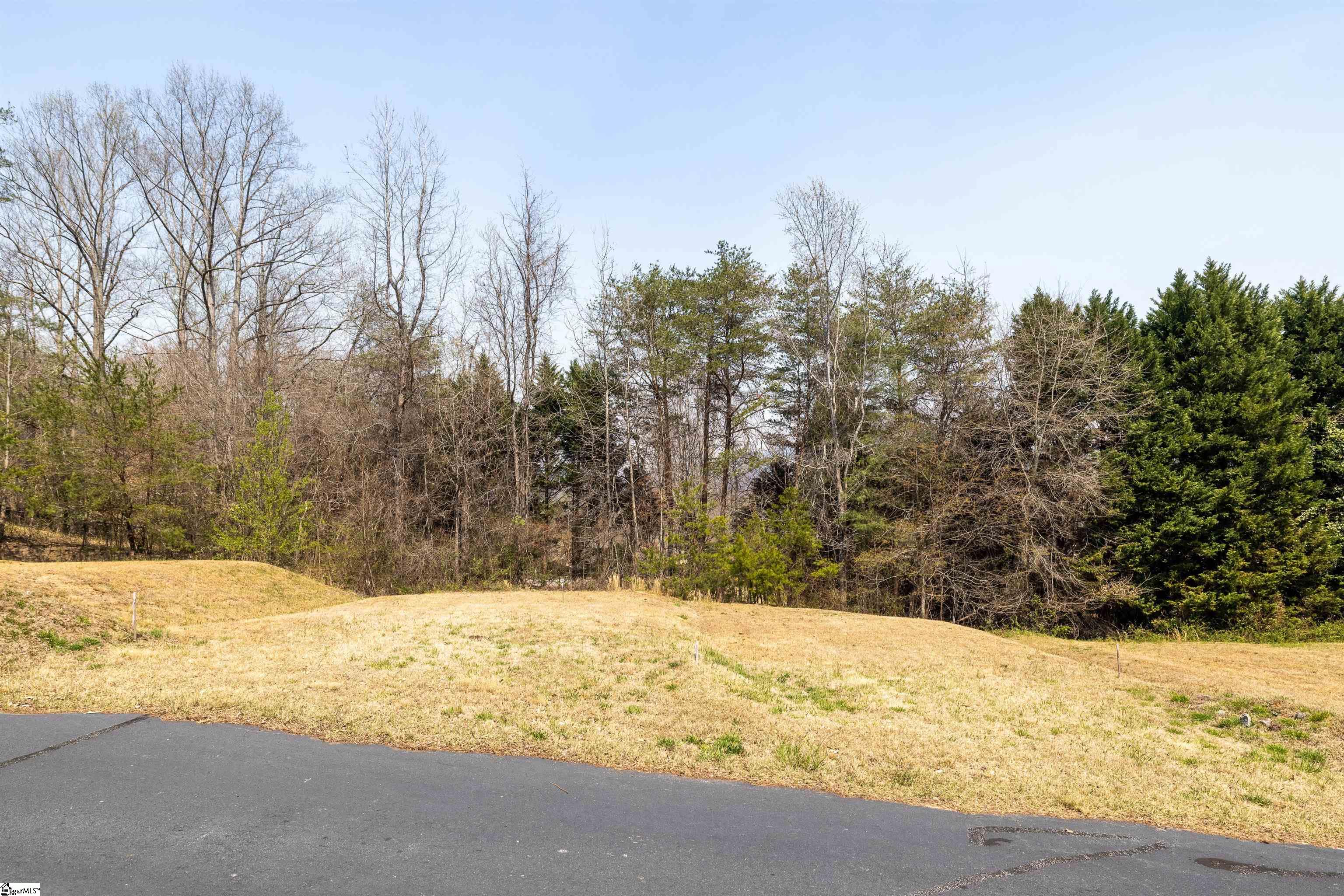 134 Stillcountry, Travelers Rest, South Carolina image 17