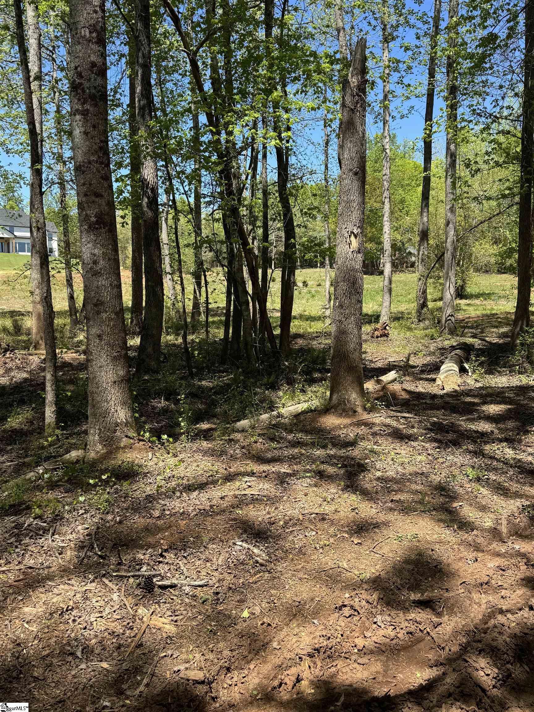 1450 Groce Meadow, Taylors, South Carolina image 27