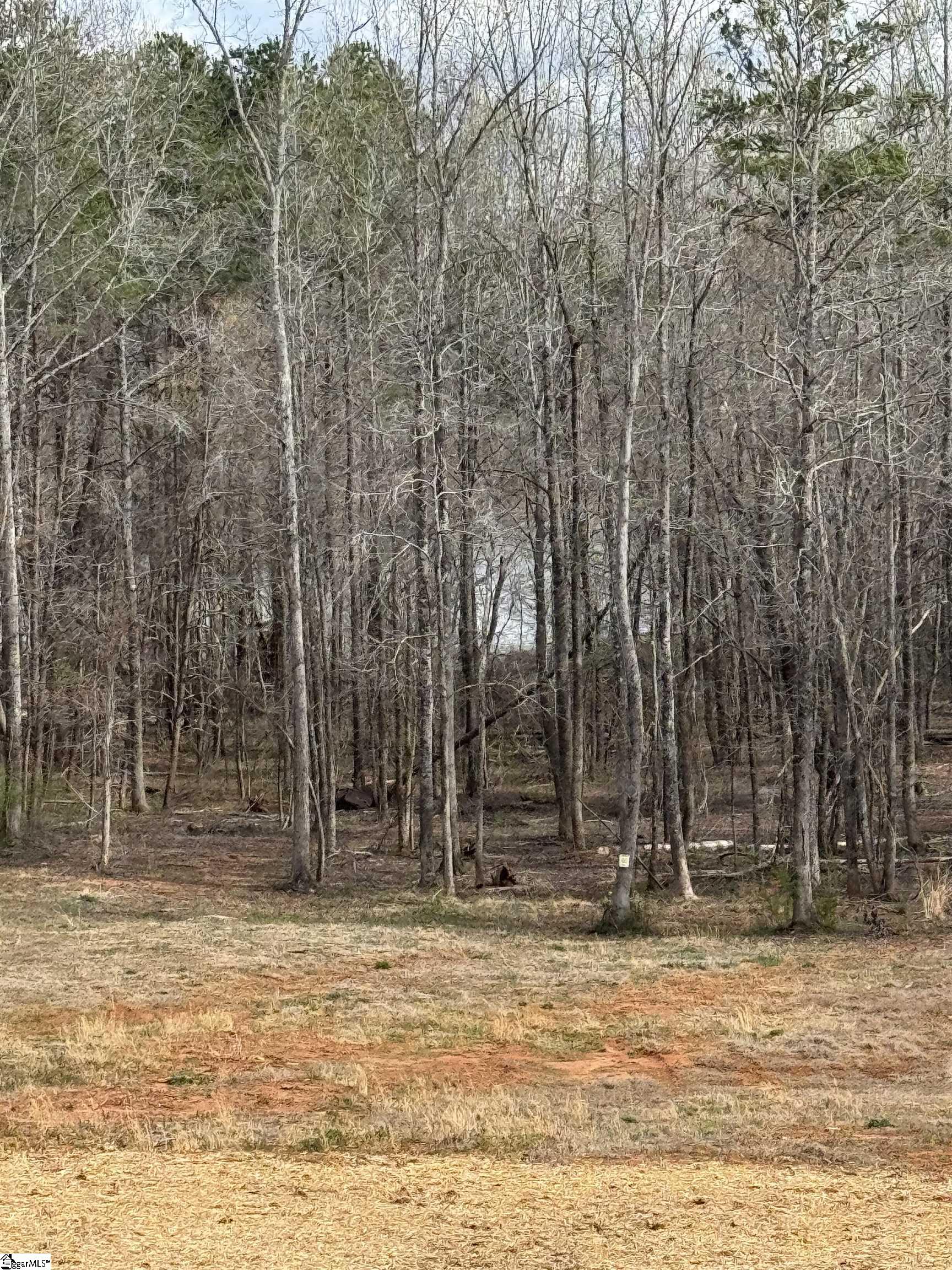 1450 Groce Meadow, Taylors, South Carolina image 31