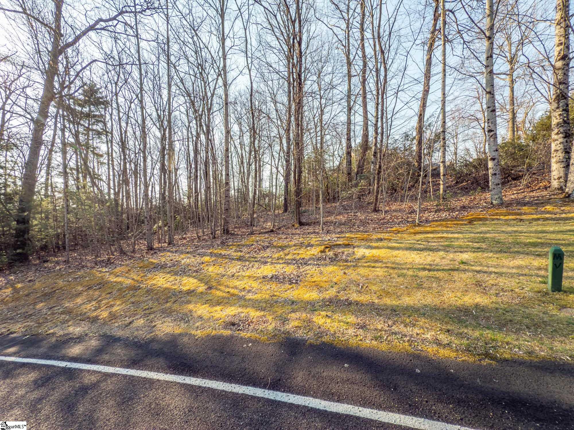2 Park Green, Landrum, South Carolina image 6