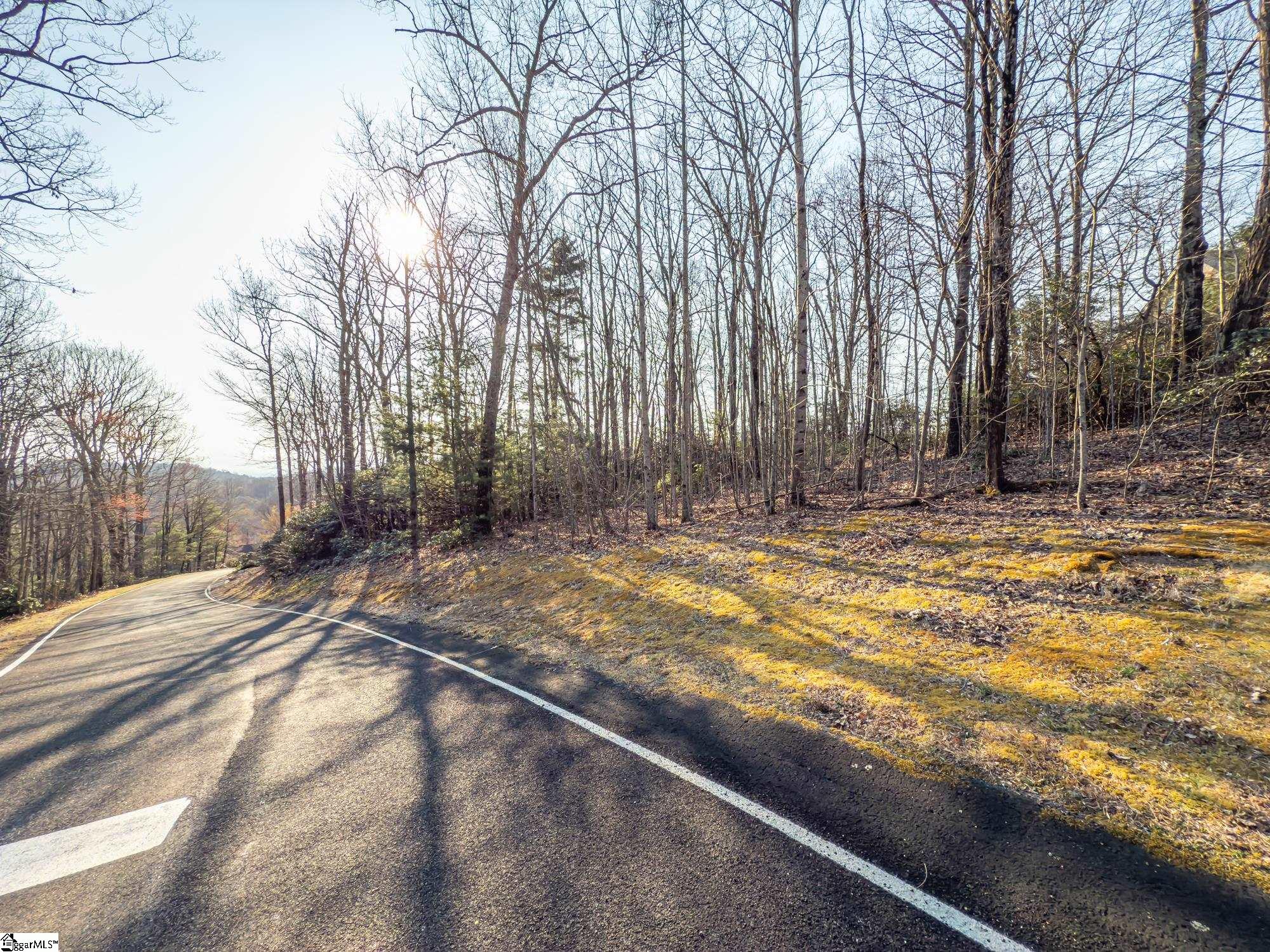2 Park Green, Landrum, South Carolina image 7