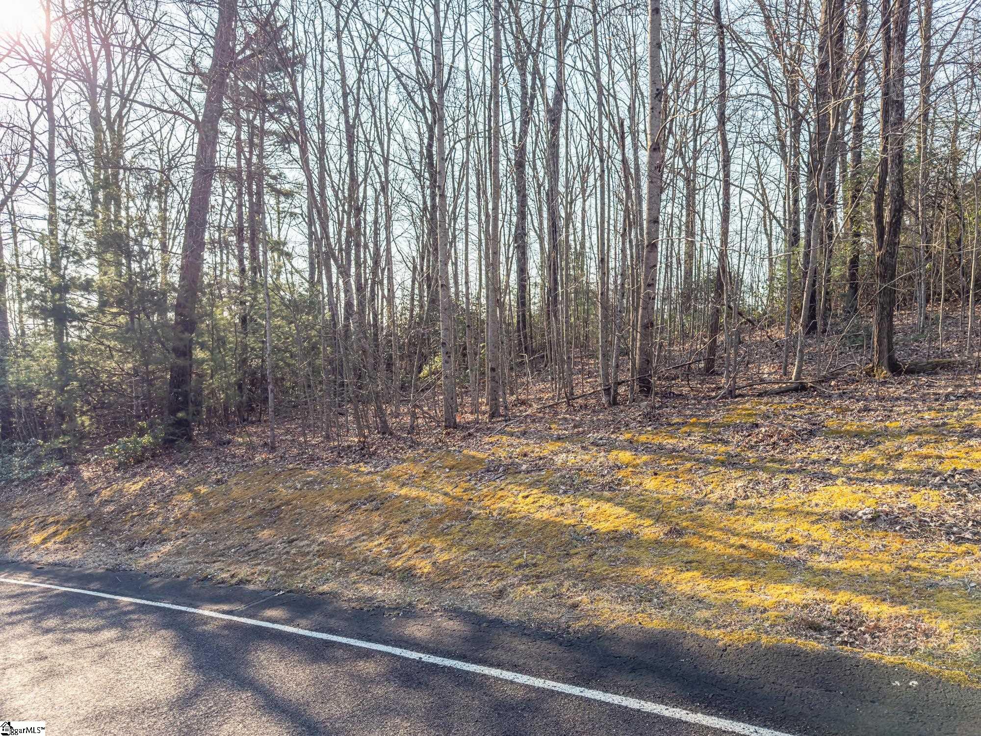 2 Park Green, Landrum, South Carolina image 8